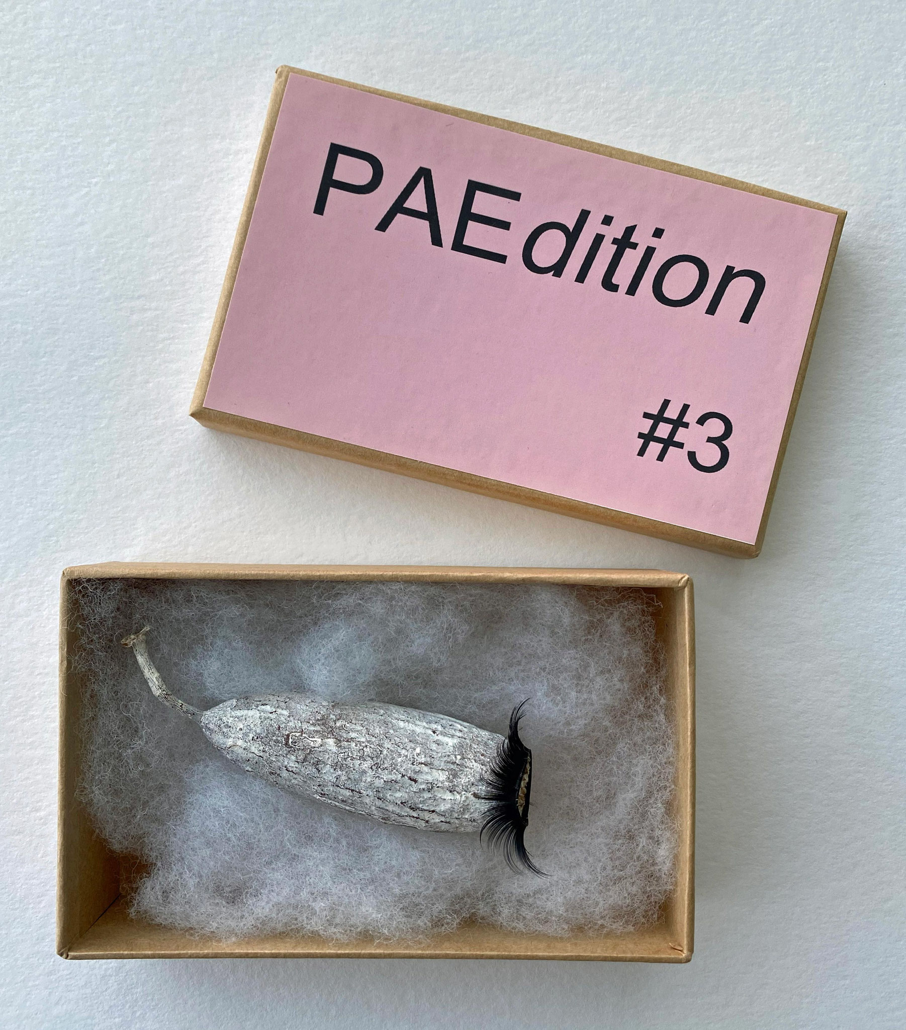 PAEdition #3, Limit. Aufl. 2020, 6 Ex.