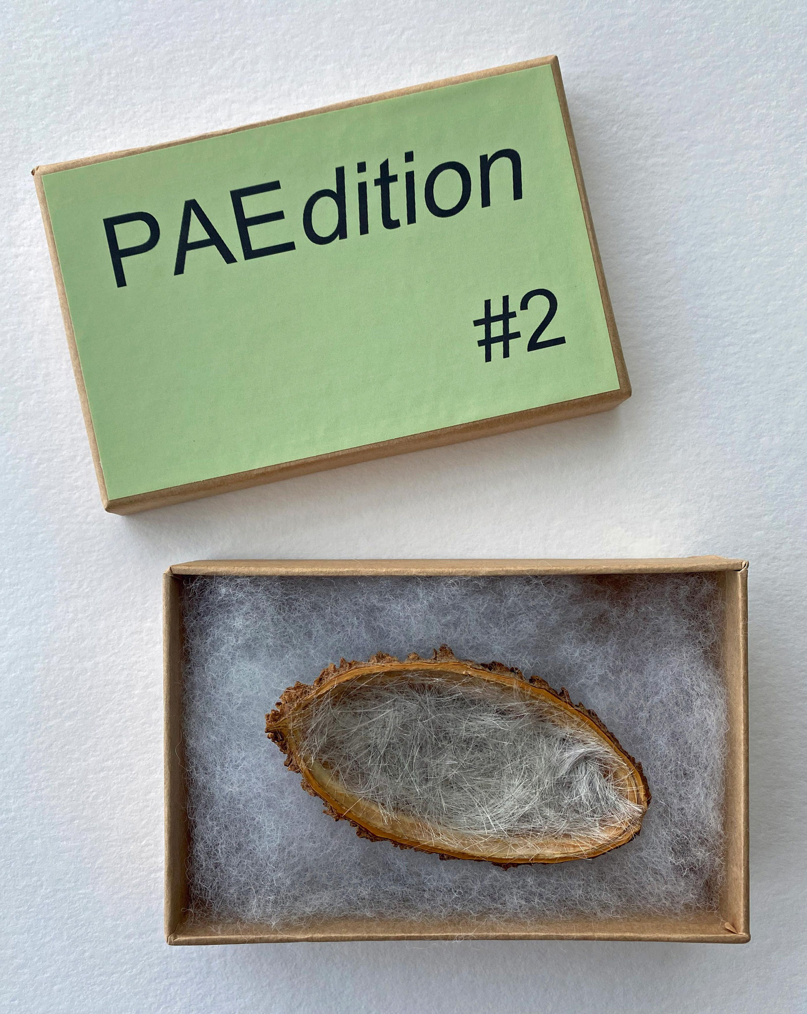 PAEdition #2, Limit. Aufl. 2020, 6 Ex.