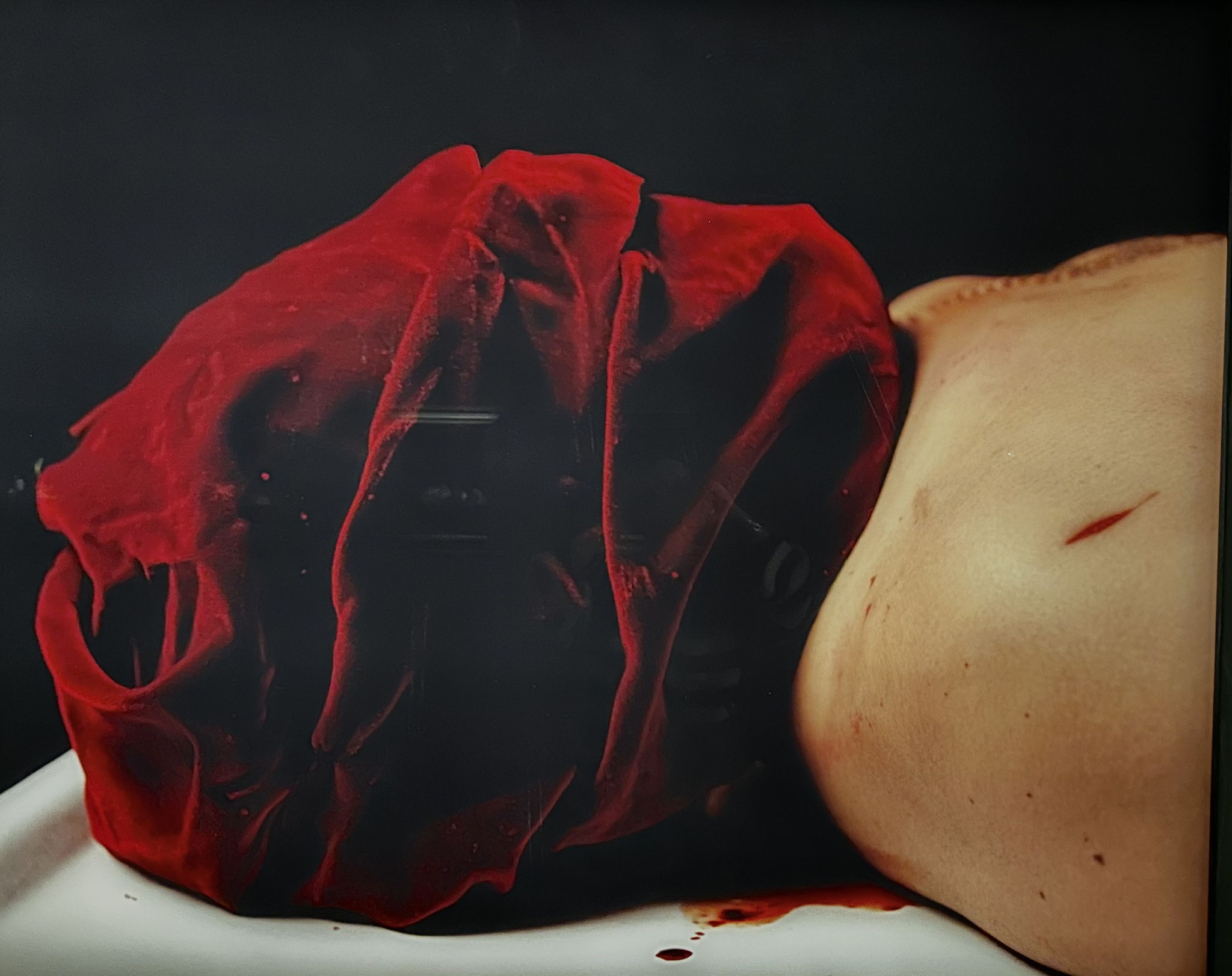 Andres Serrano: Das Leichenschauhaus (1950)