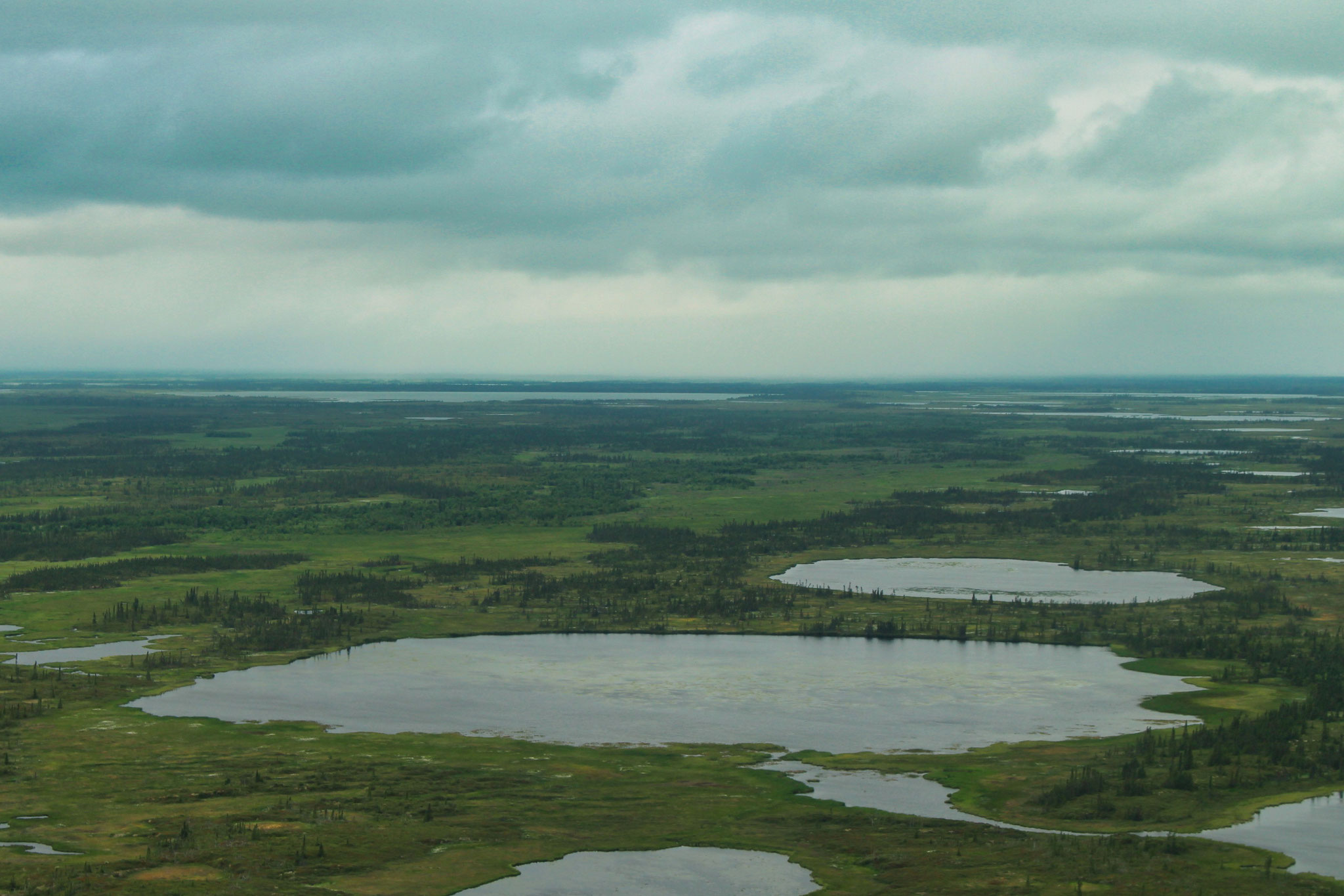 Floattrip Aniak River, Flyfishing for Chinooks Flyfishing Adventures