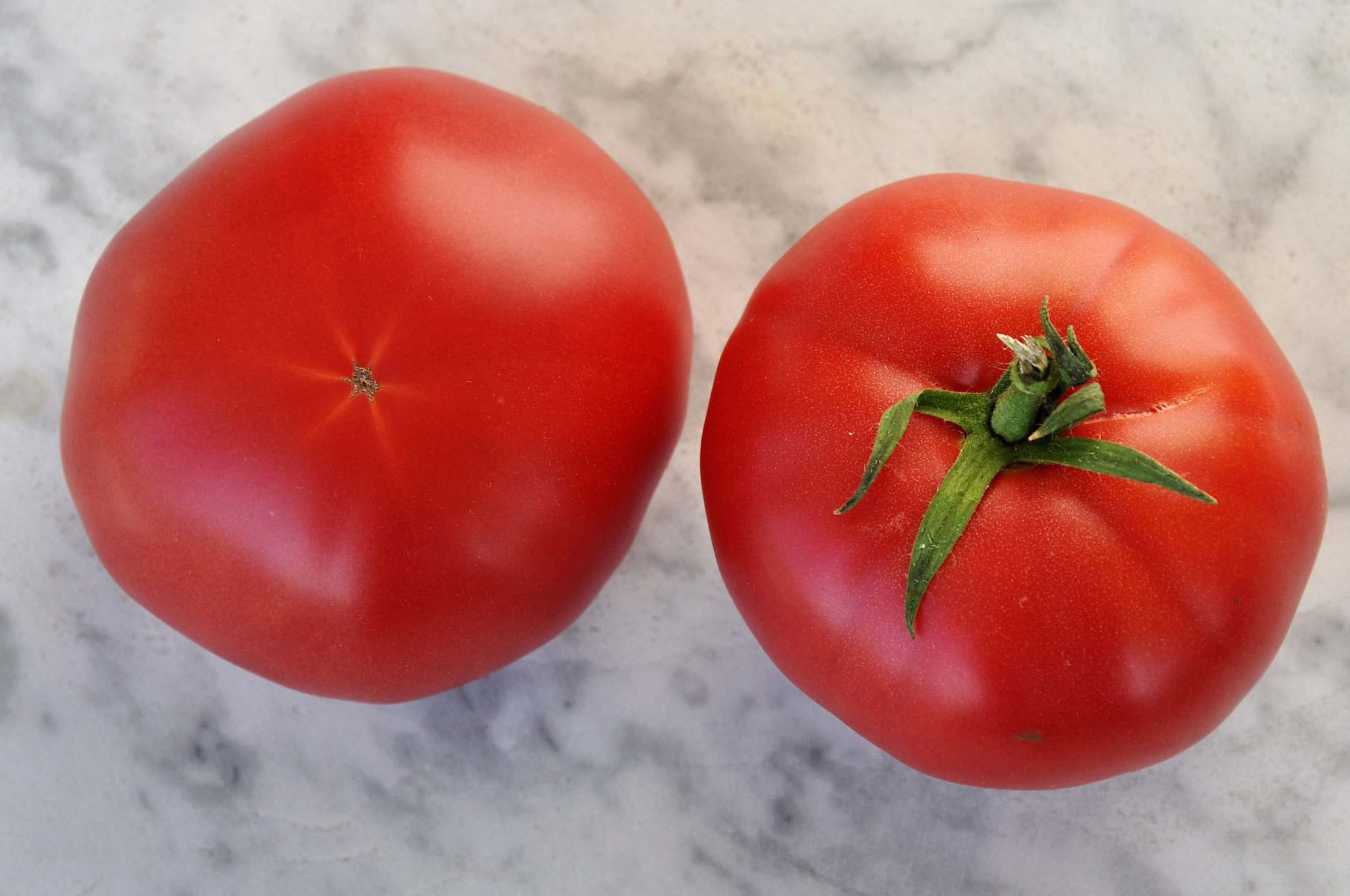 TOM 098 Rote Tomate Zürifescht / ca. 150 gr. Sehr fleischig.