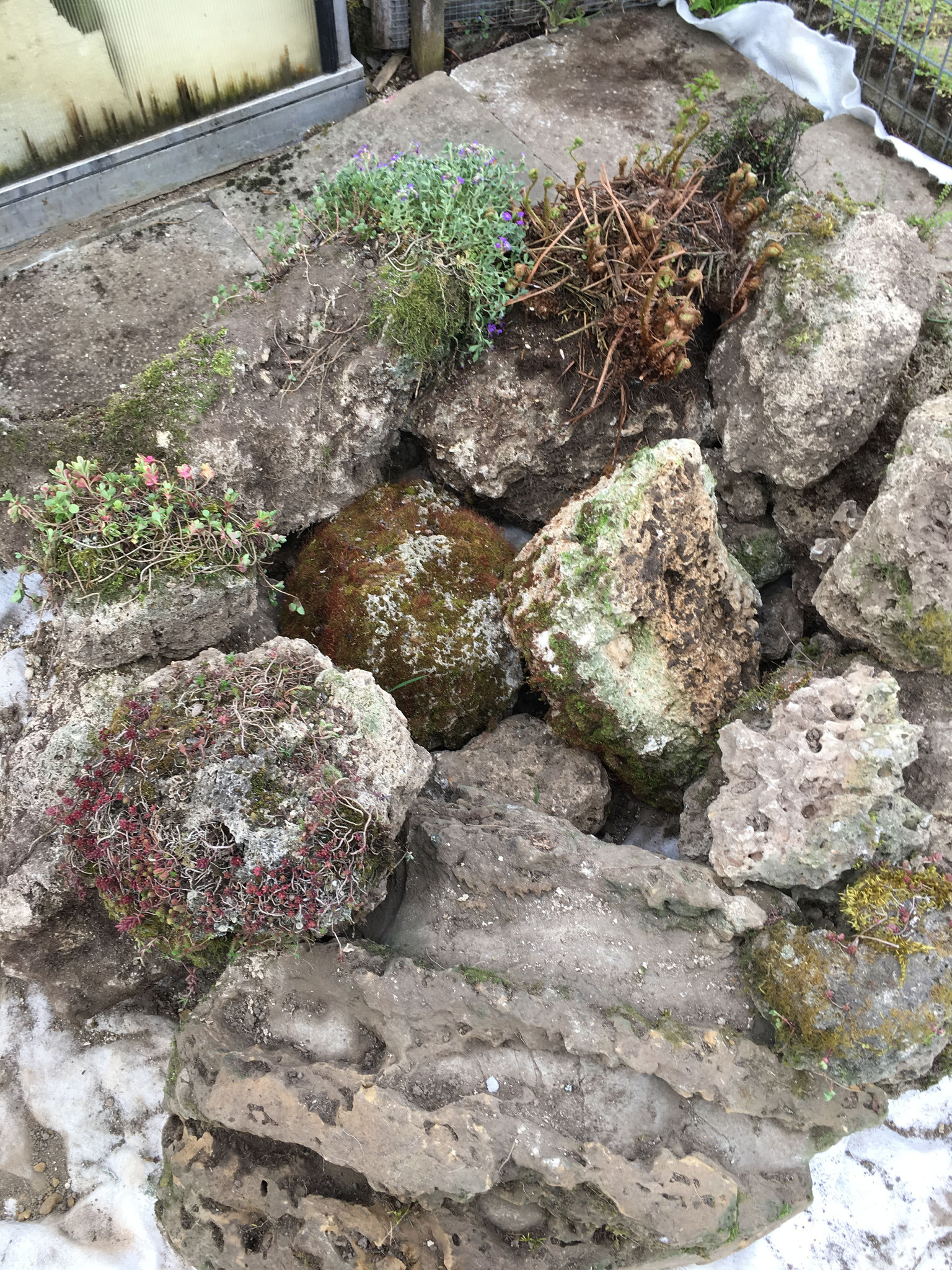 Hier hat es Platz für die Alpenpflanzen