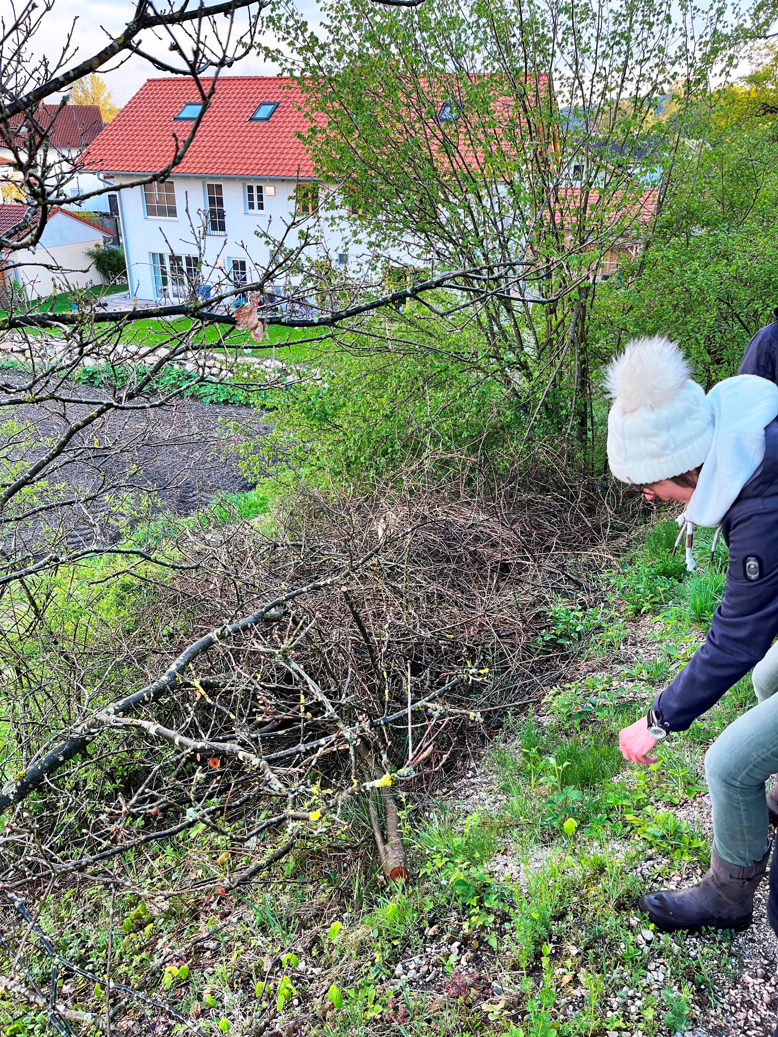 überall was zu finden: Waldmeister