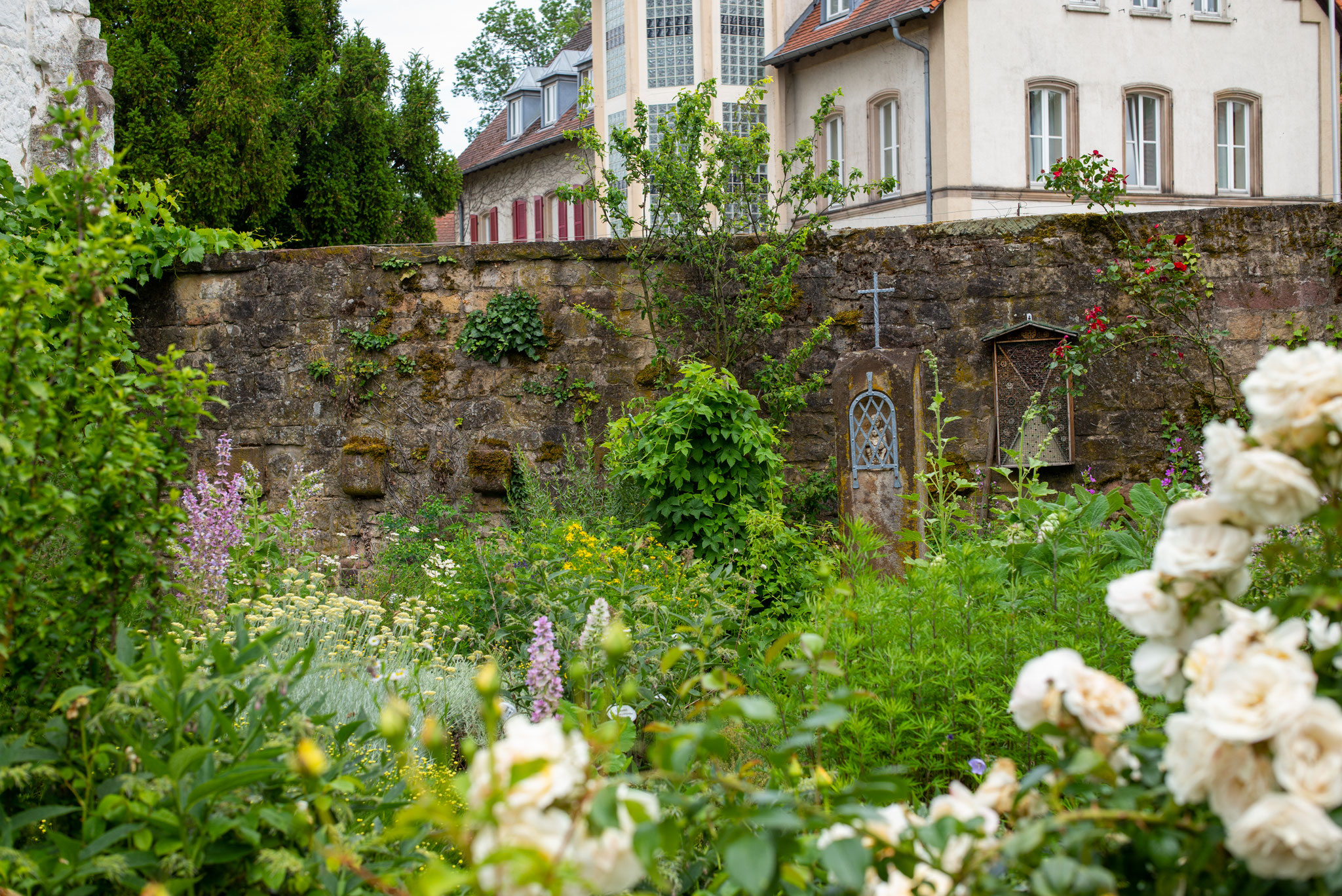 Garten im Kloster Klingenmünster
