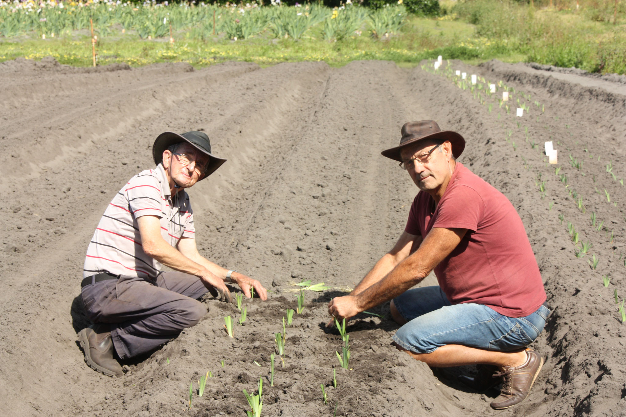 Plantation des semis de Barry