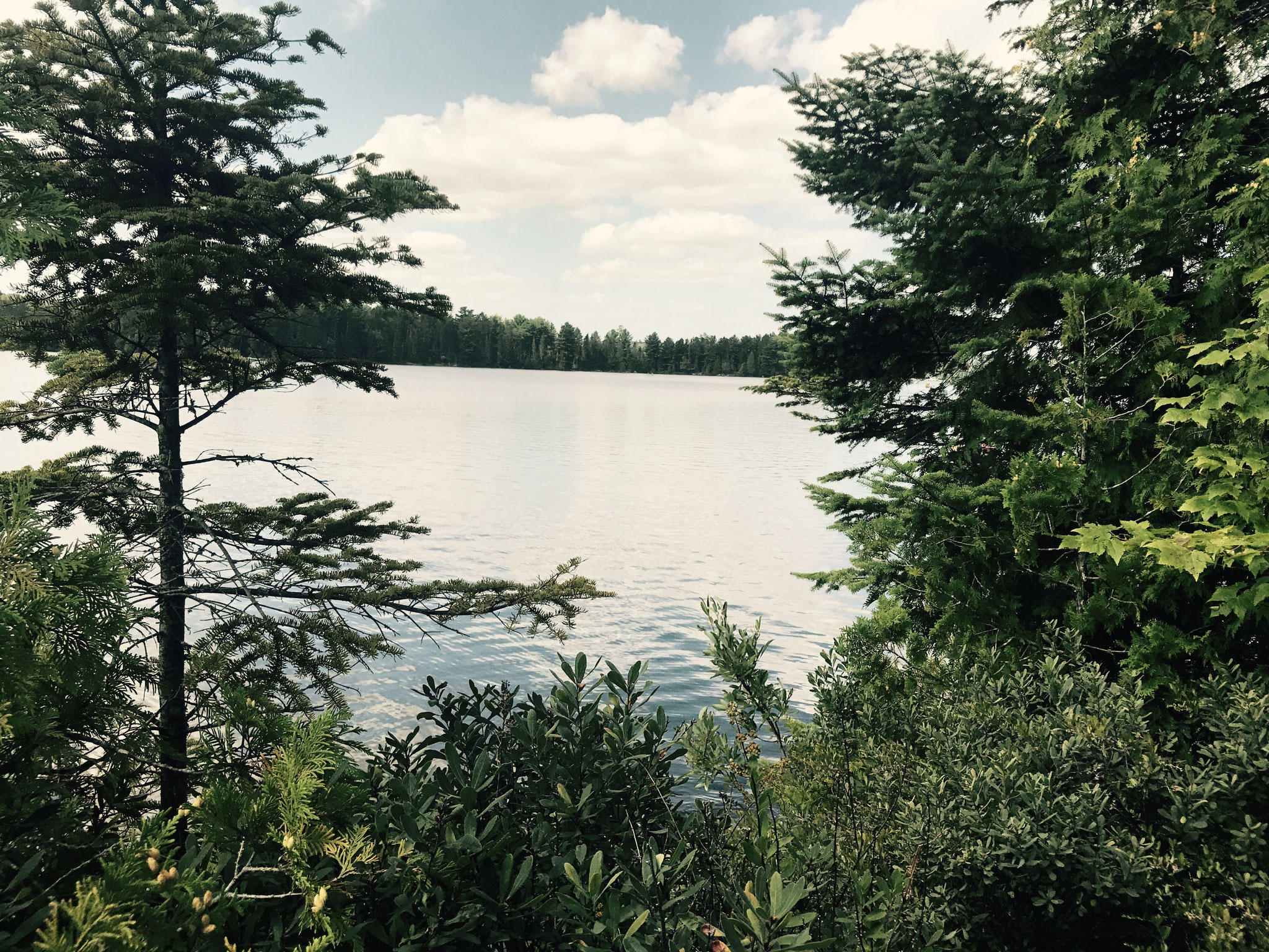 Algonquin Nationalpark