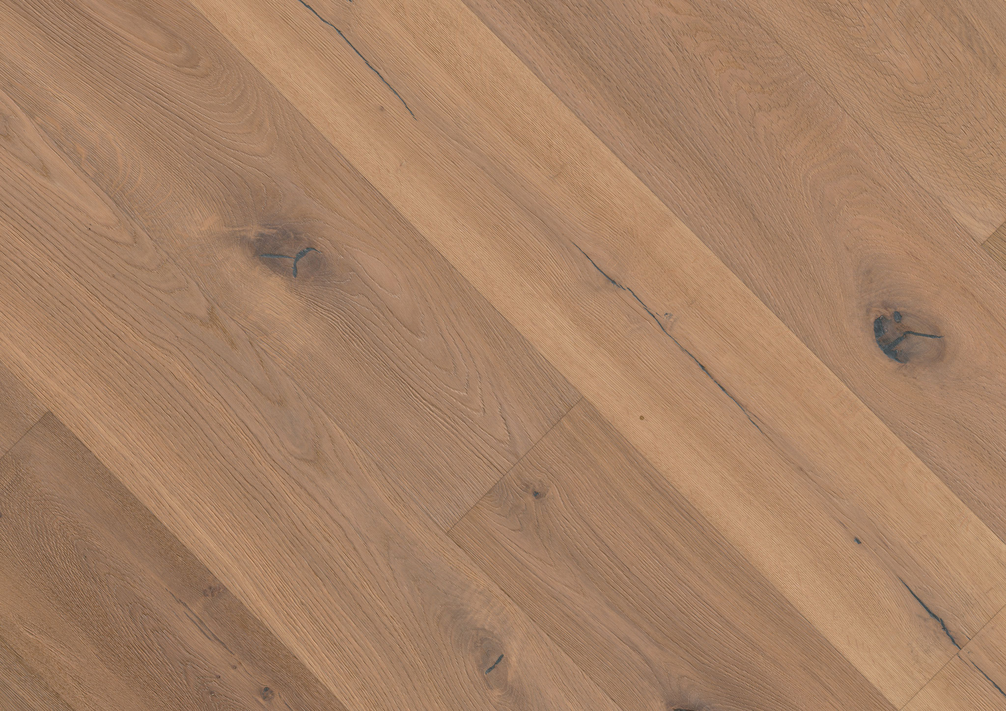 Oak No. 2 - Cornwall