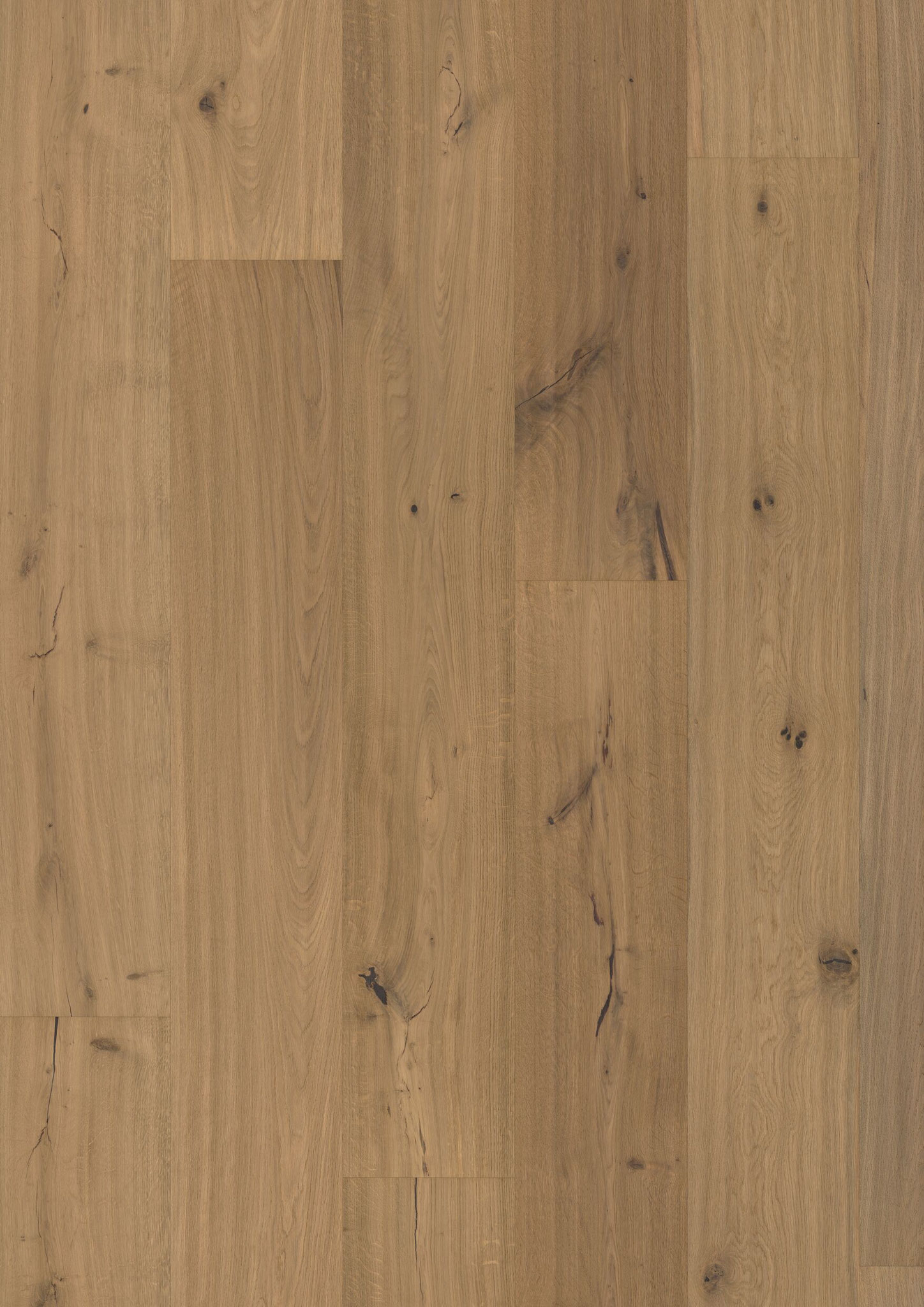 Oak No. 21 - Warwick