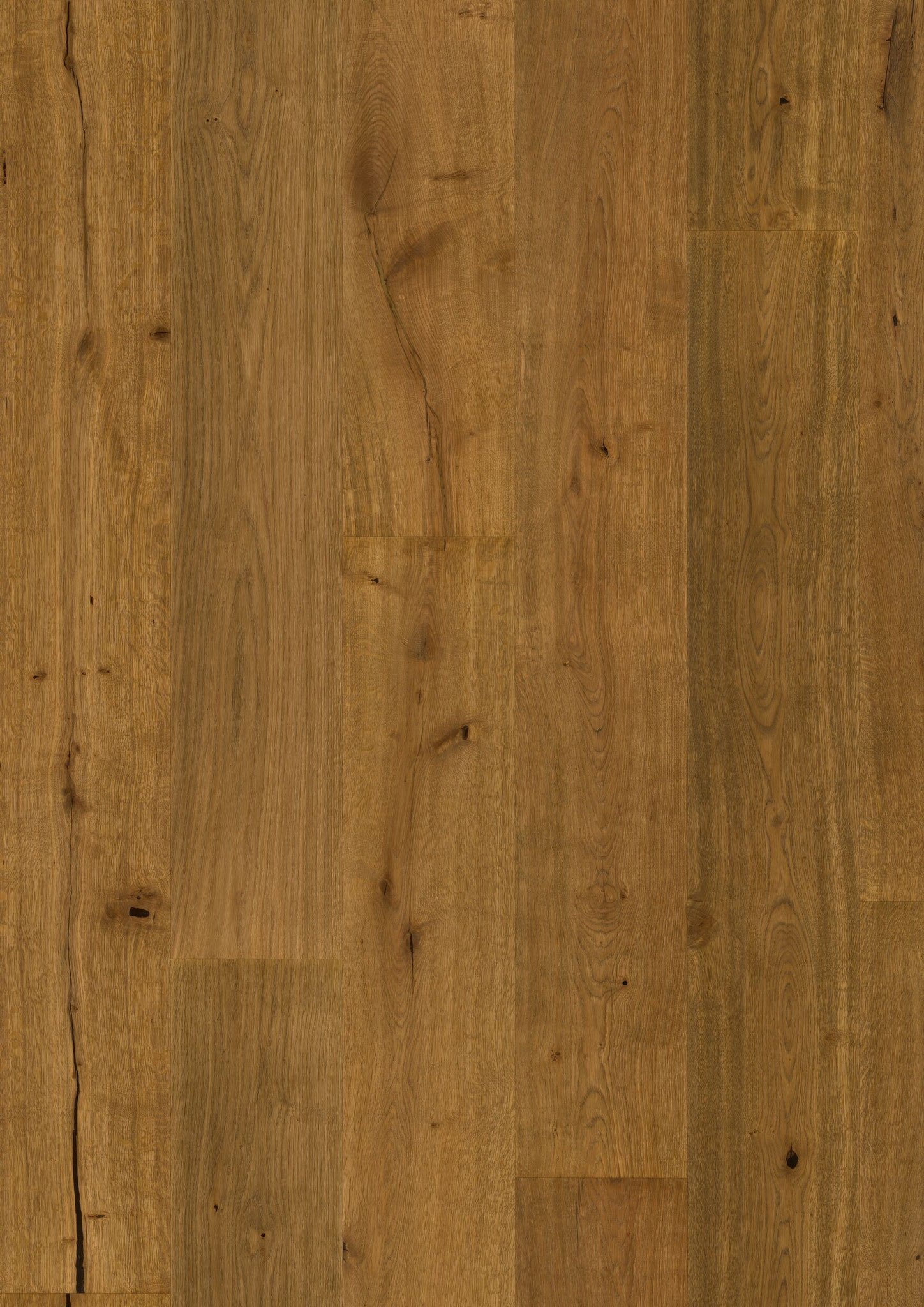 Oak No. 17 - Blenheim