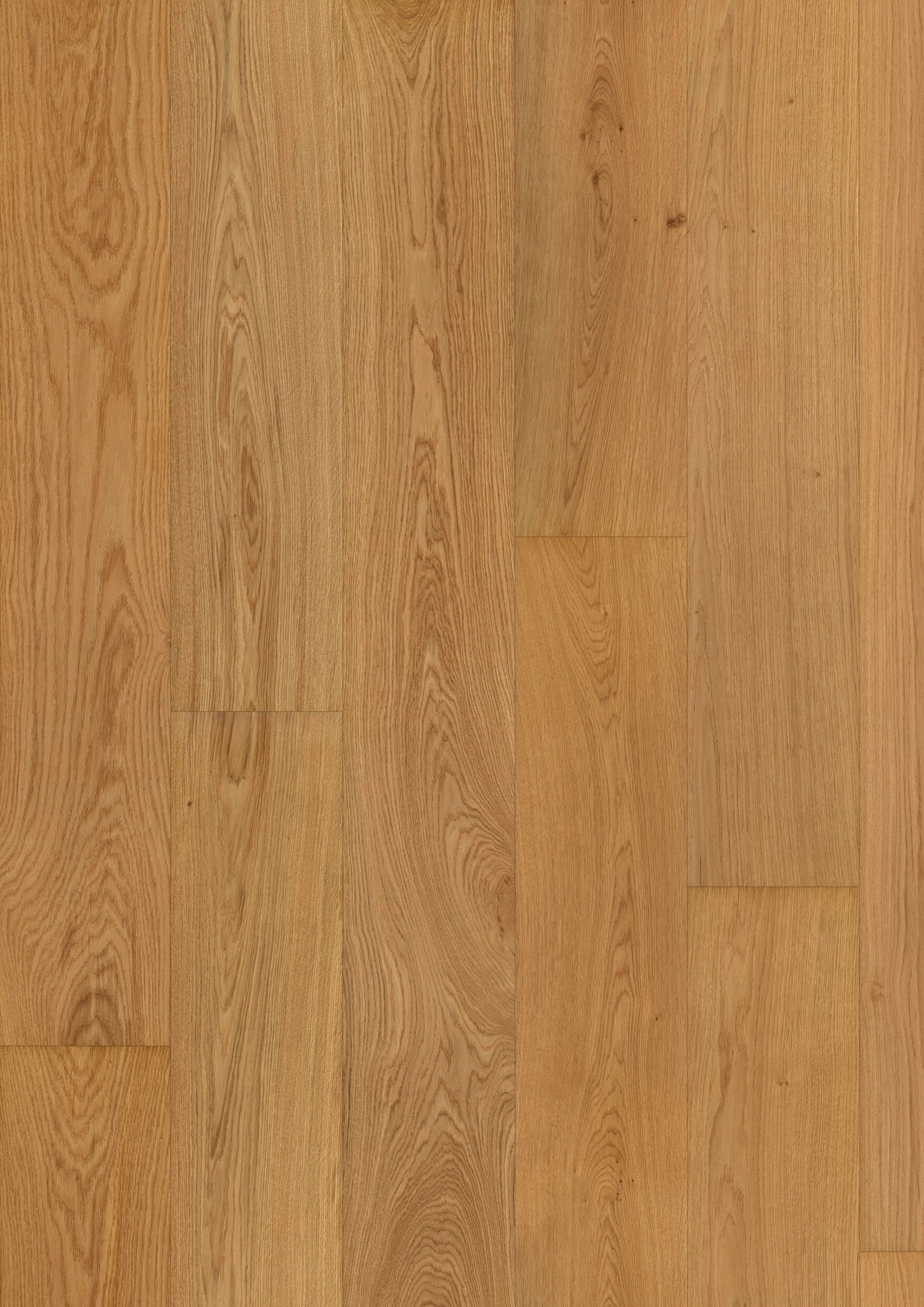 Oak No. 14 - Windsor