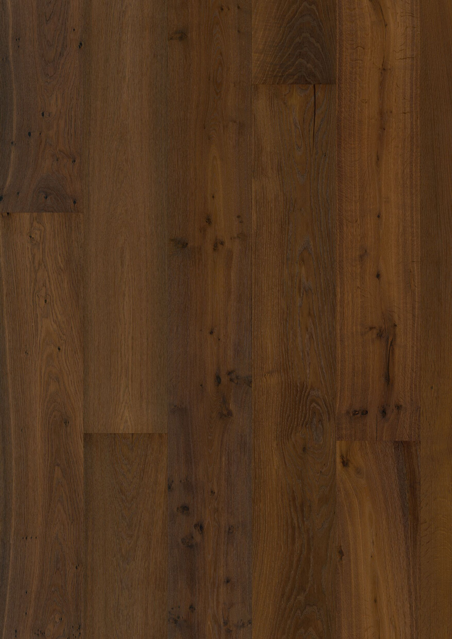 Oak No. 16 - Buckingham