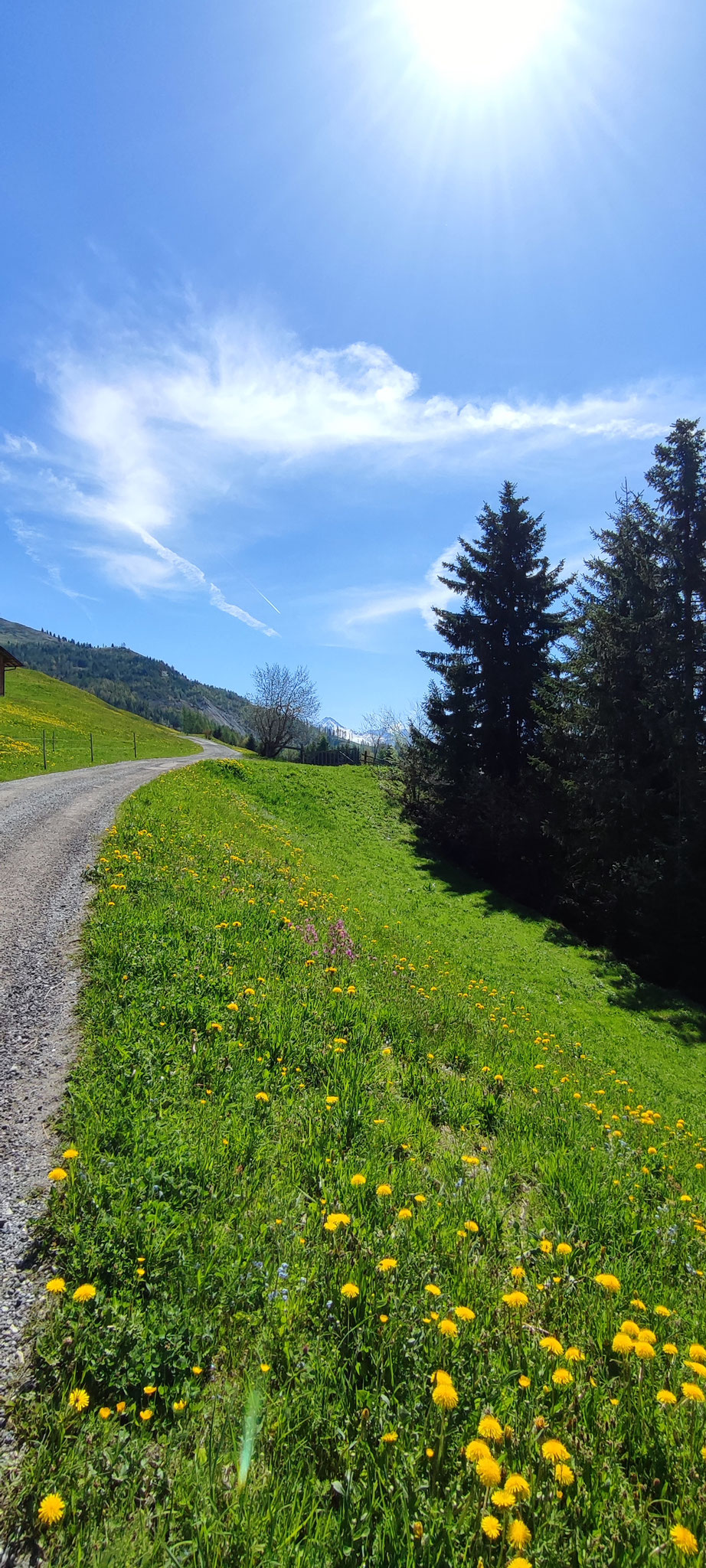 Ausflug in der Region Tux-Finkenberg