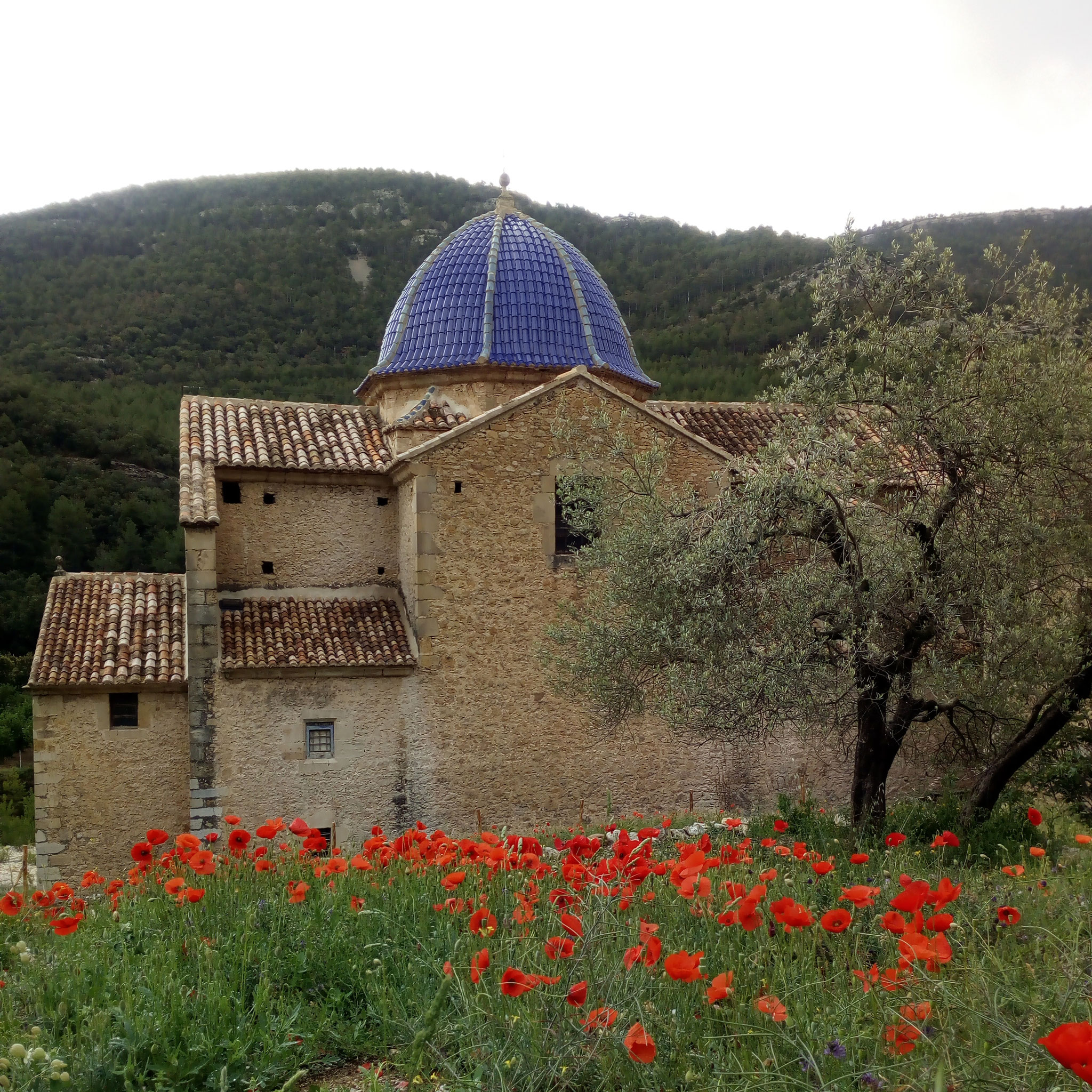 La cúpula después de su restauración