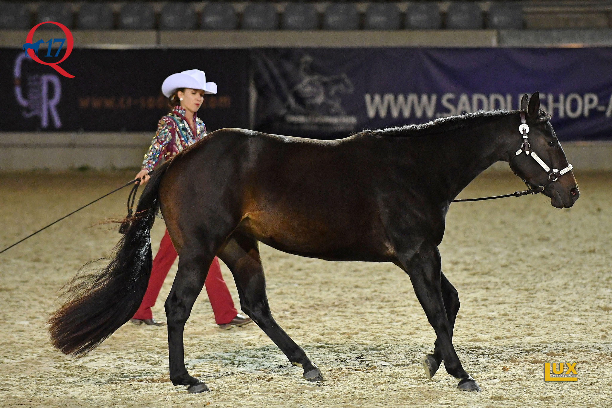 NSBA Longe Line Futurity 3YO