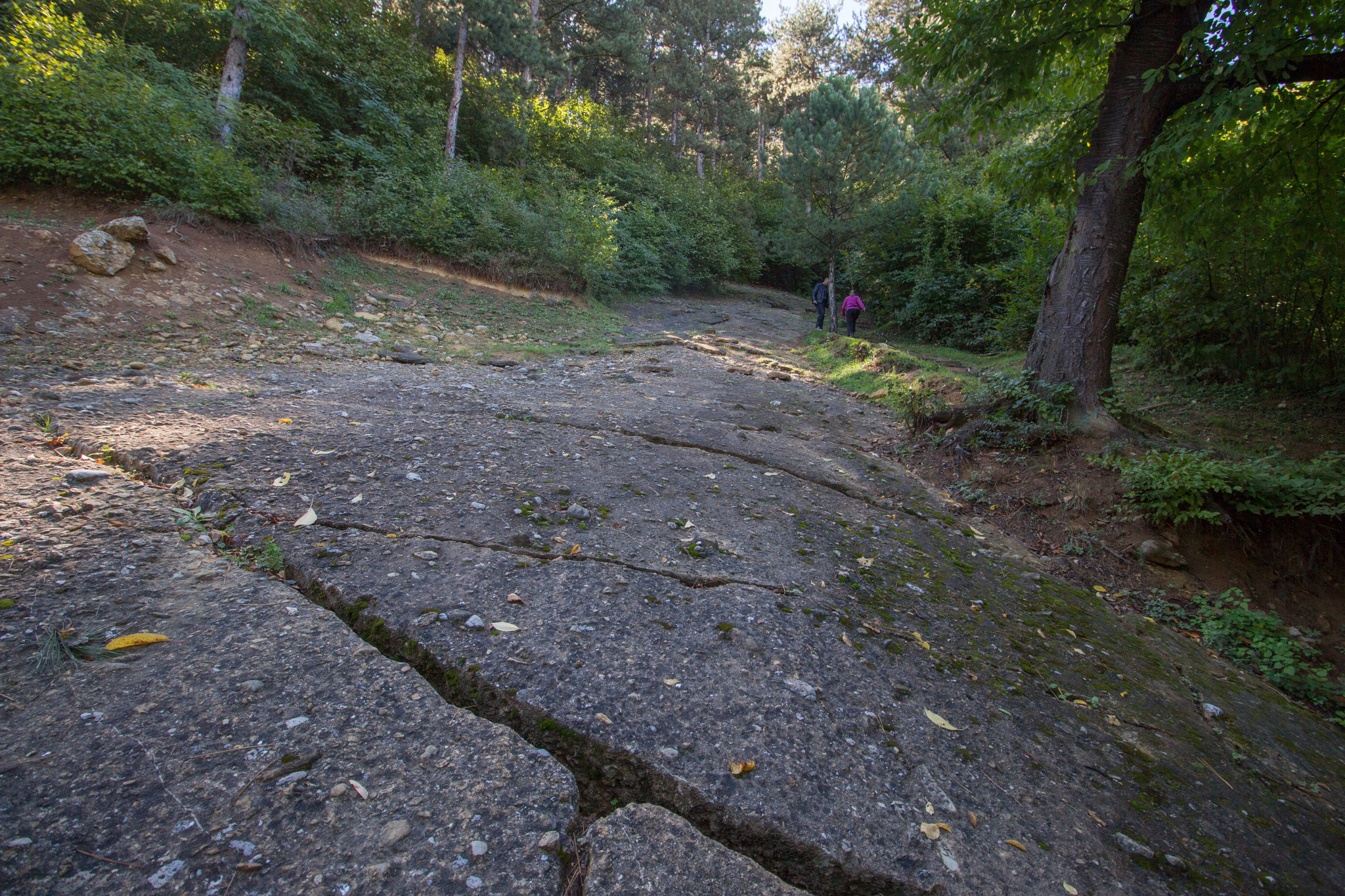 Nordseite: Platte an Platte (2)