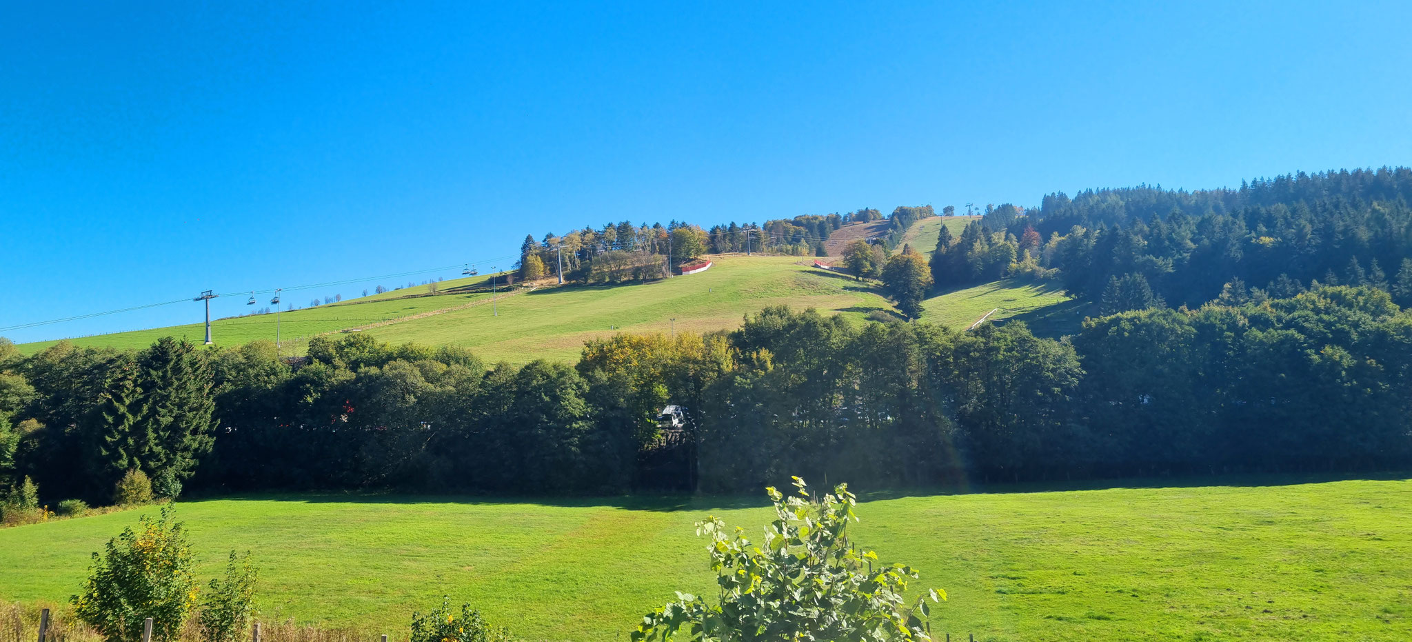 Ausblick auf den Köhlerhagen