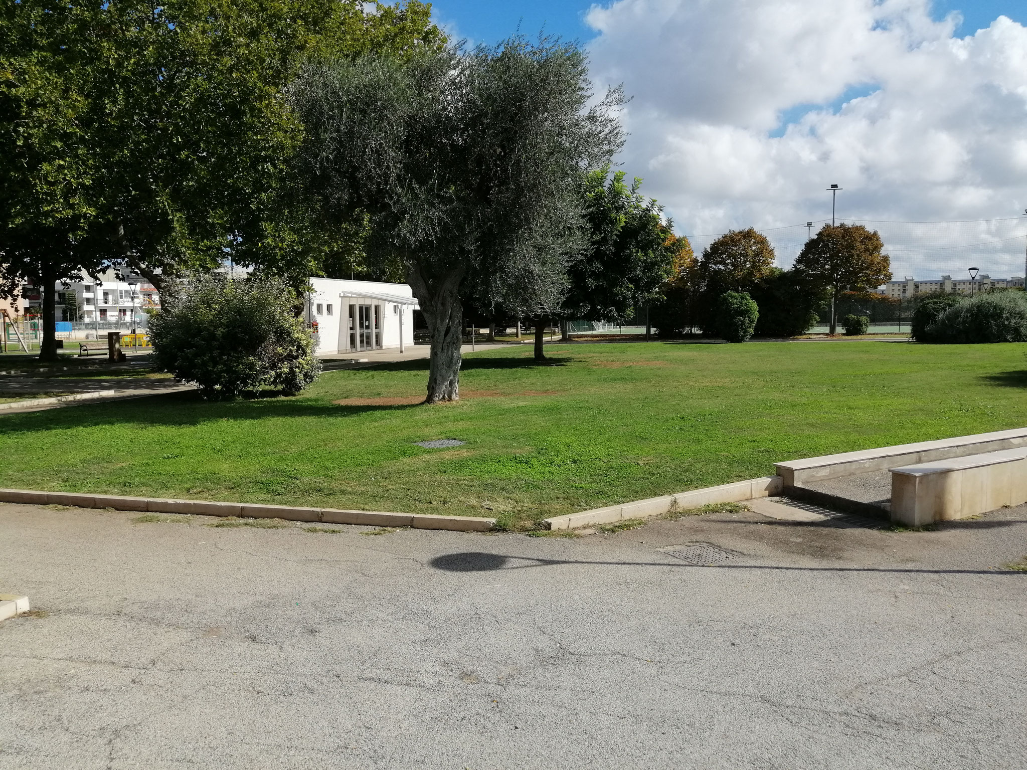 Parco comunale Sandro Pertini - interno