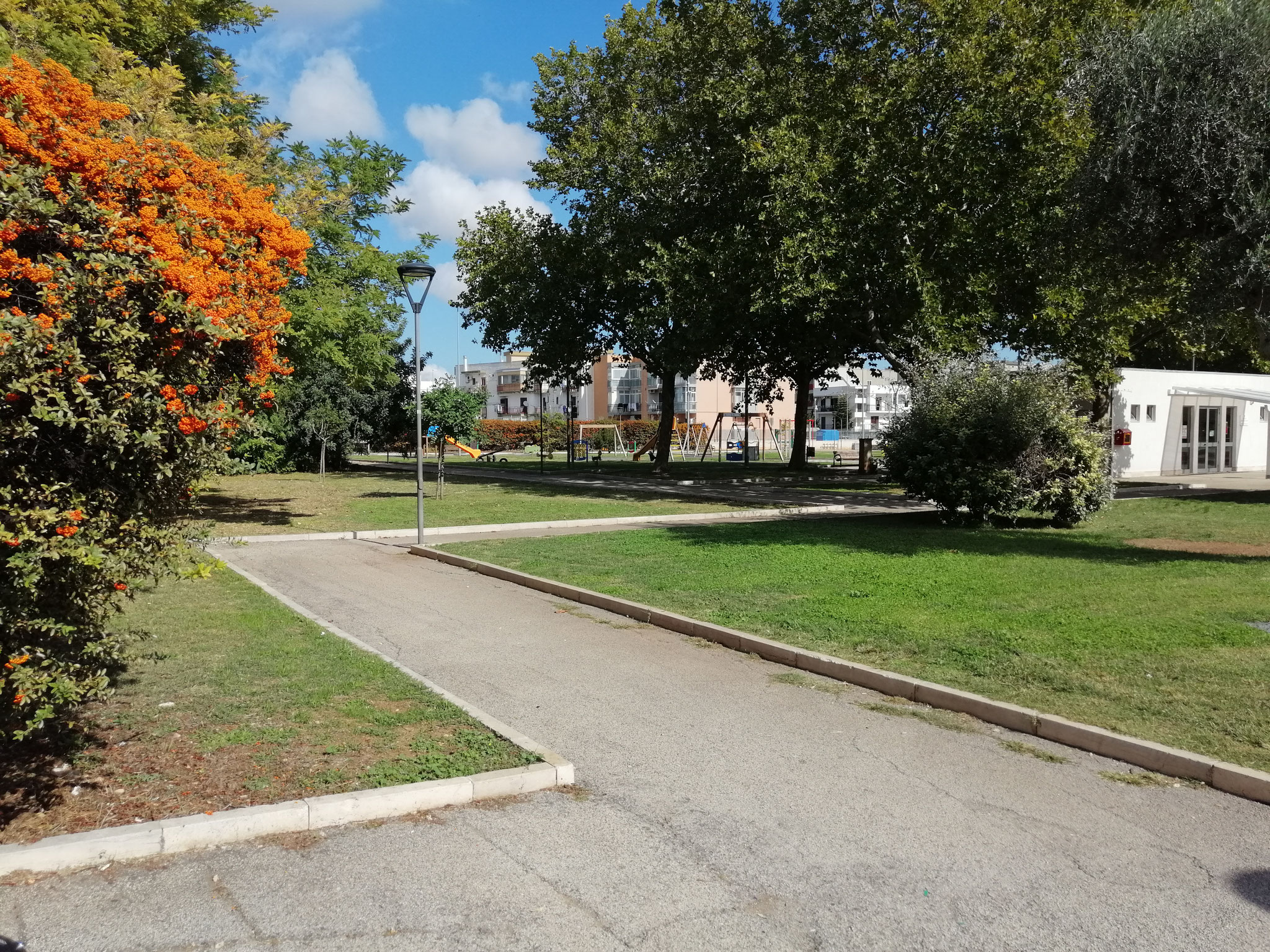 Parco comunale Sandro Pertini - interno