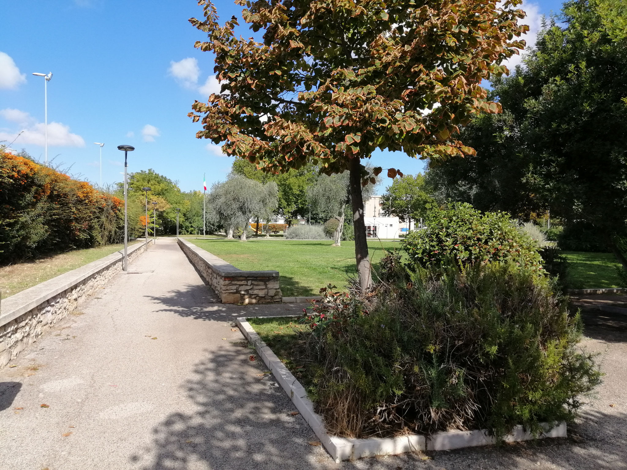 Parco comunale Sandro Pertini - area verde