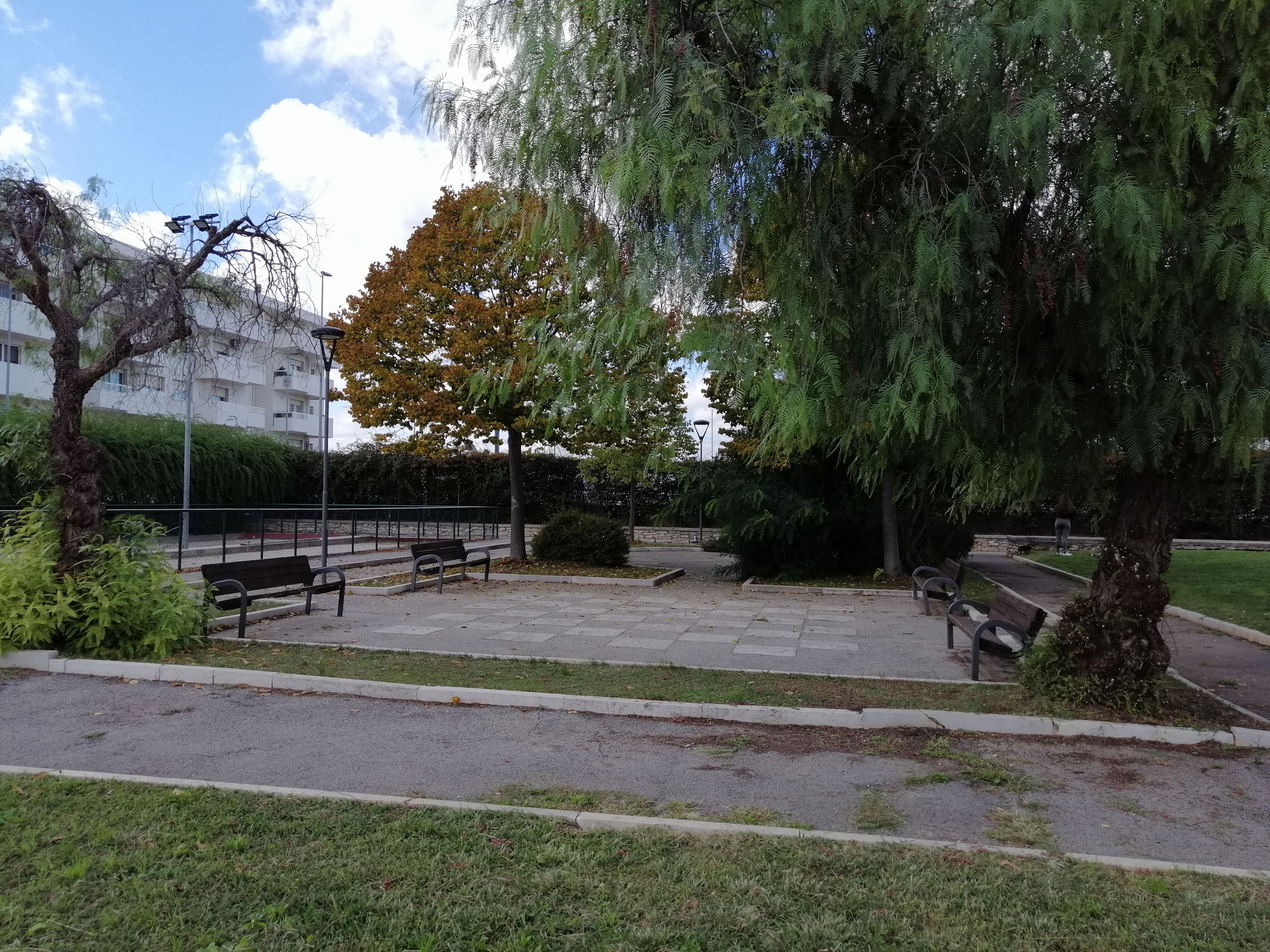 Parco comunale Sandro Pertini - interno