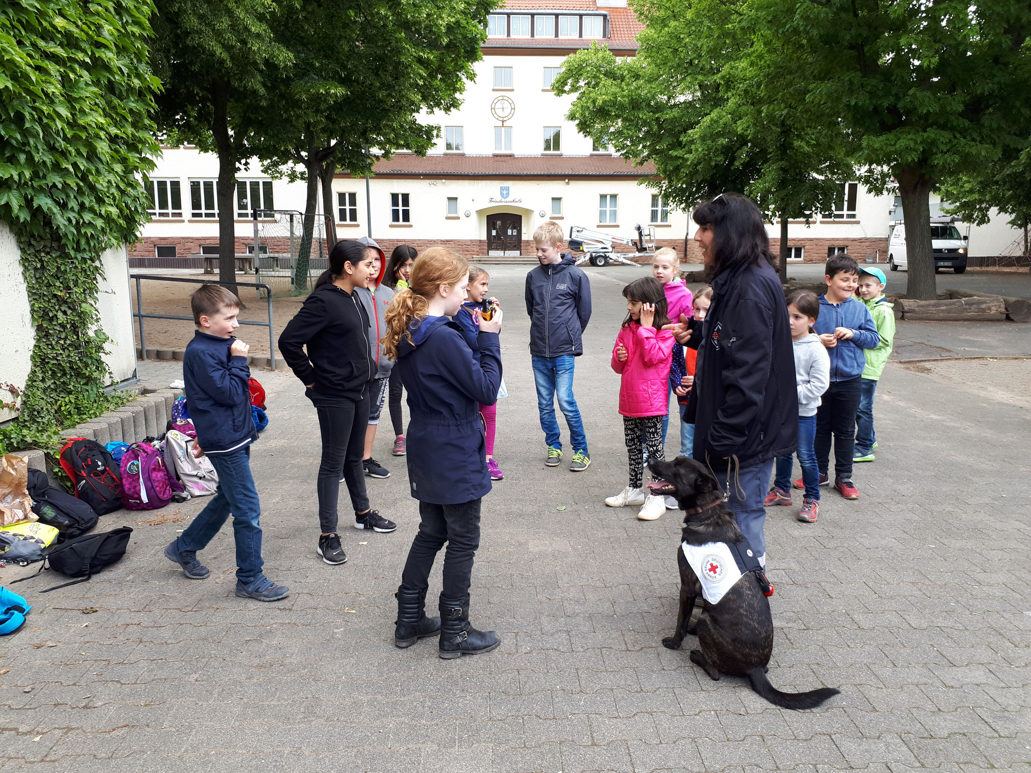 Hunde: Rettungshundestaffel 