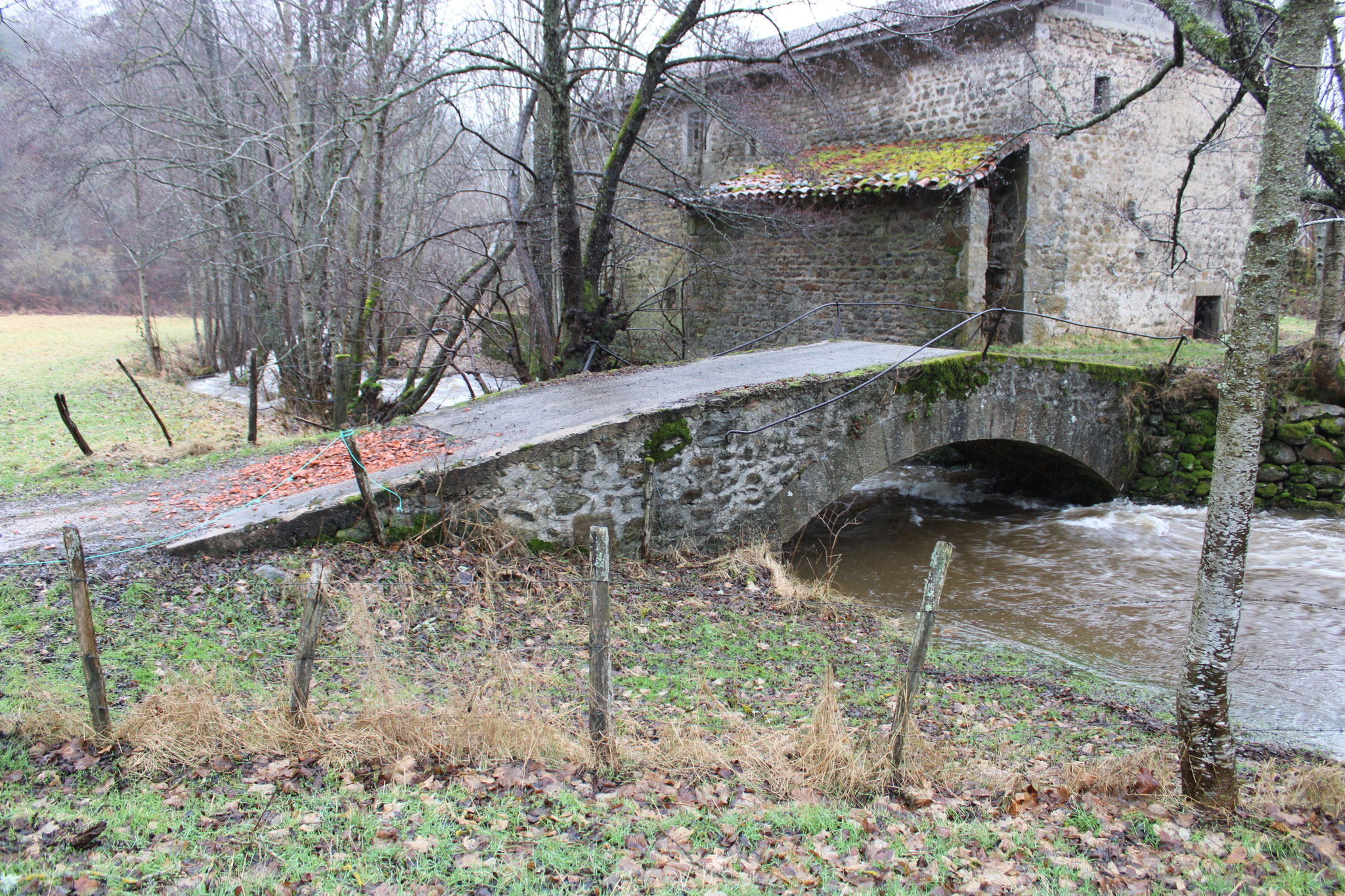 Le Lignon, en crue, à l'aval de Chalmazel