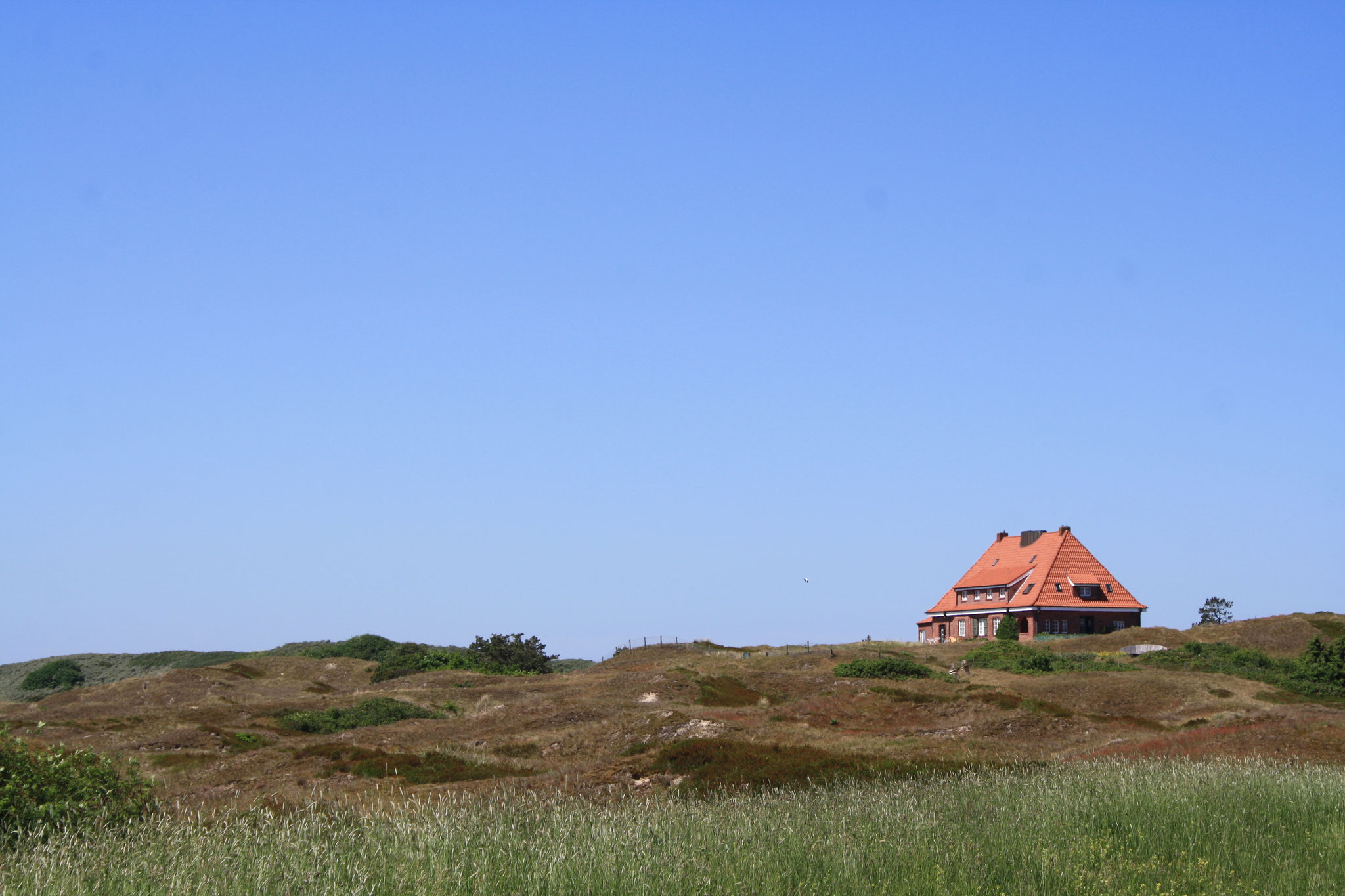 Insel Auszeit Tai Chi Achtsamkeit Auf Spiekeroog Juni 2020