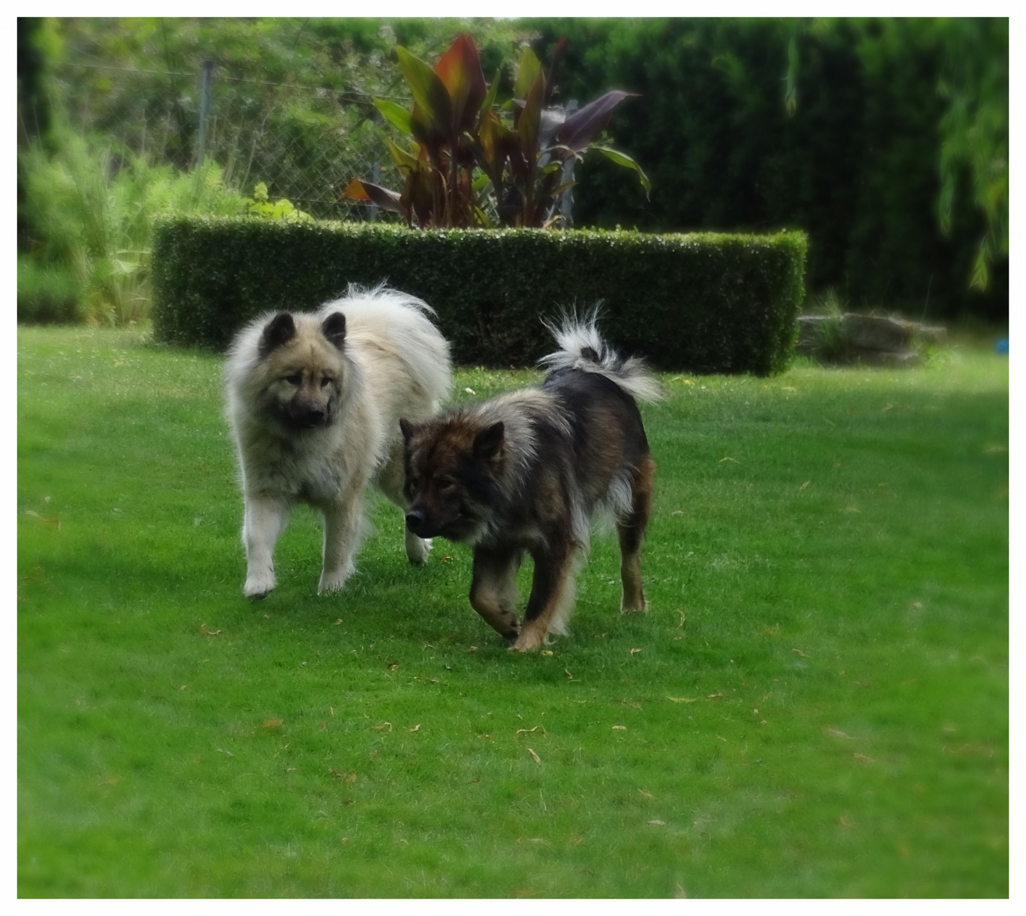 Kelly und Enja