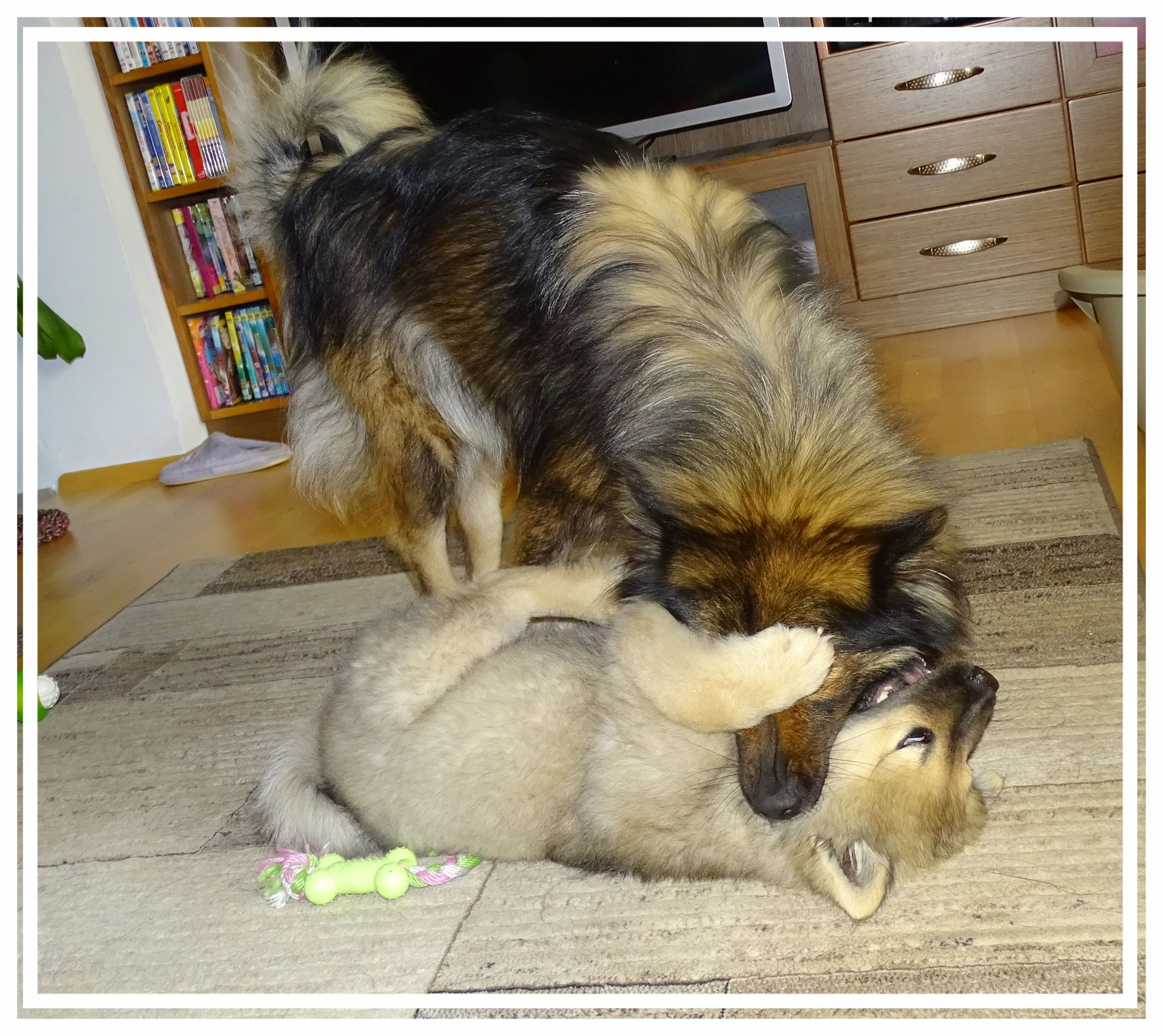 ...einmal ist die Mama Sieger...
