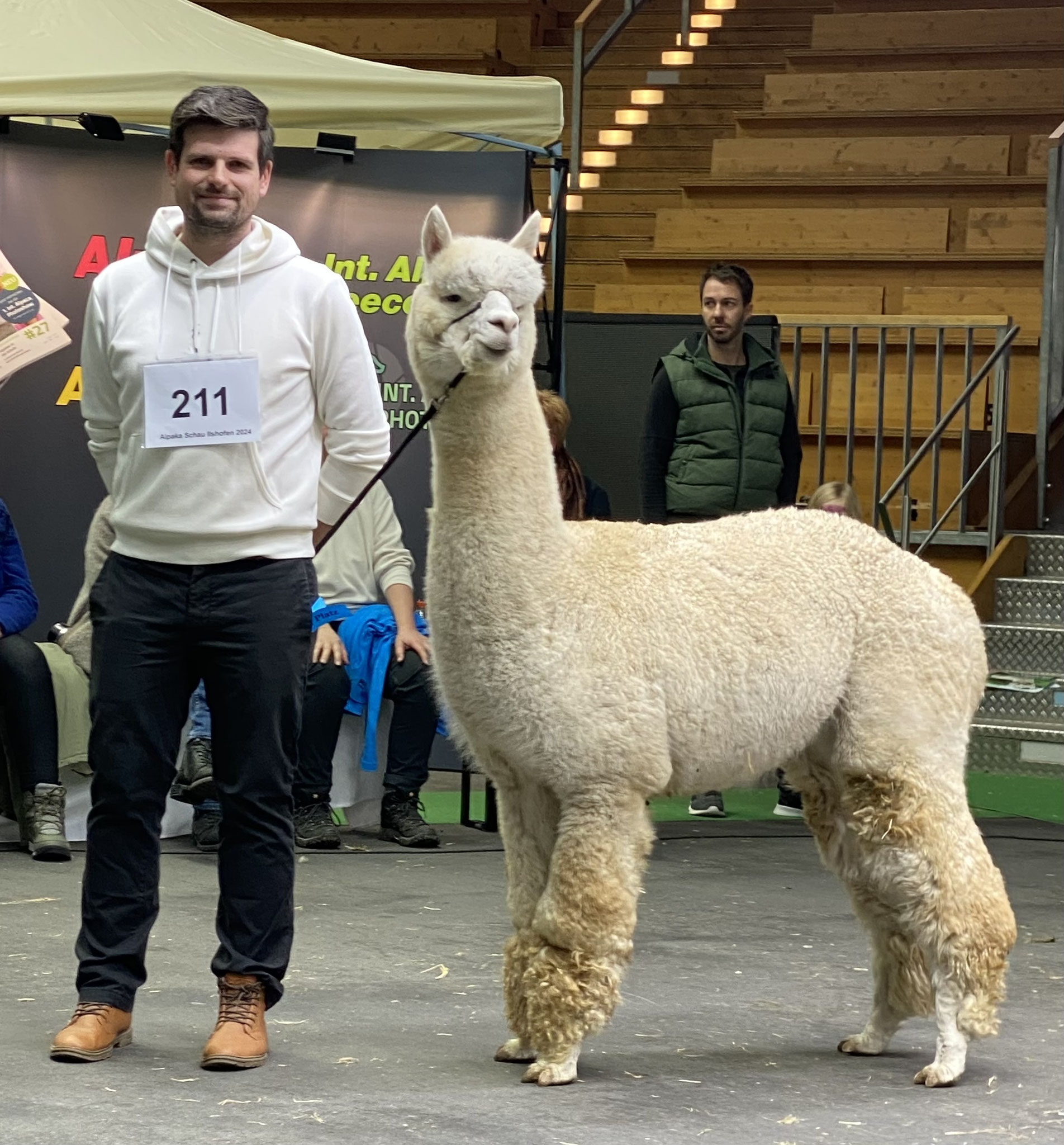 Alpaka Schau Süd 2024