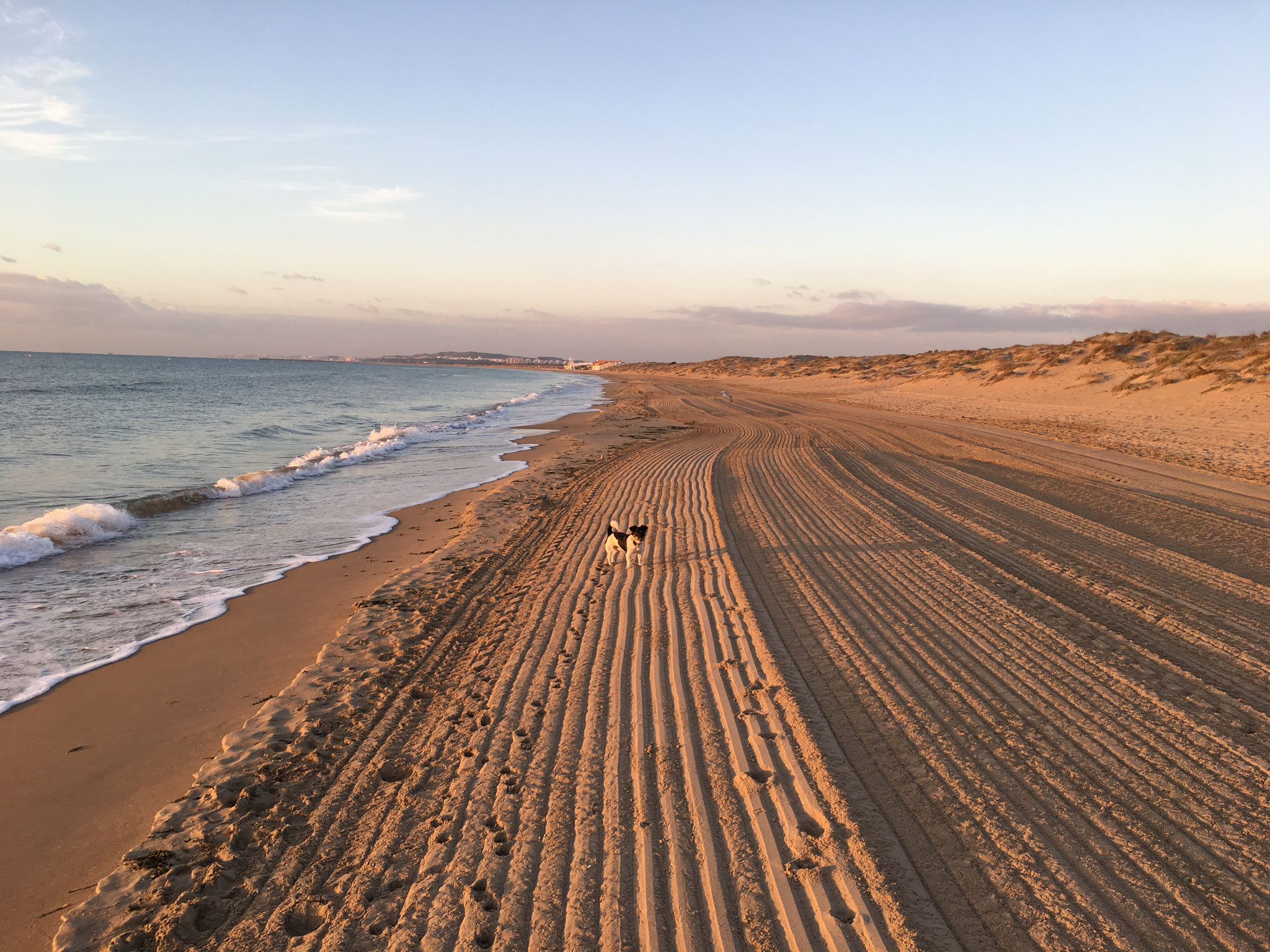 01. Okt. 2018 - La Marina del Pinet (E)