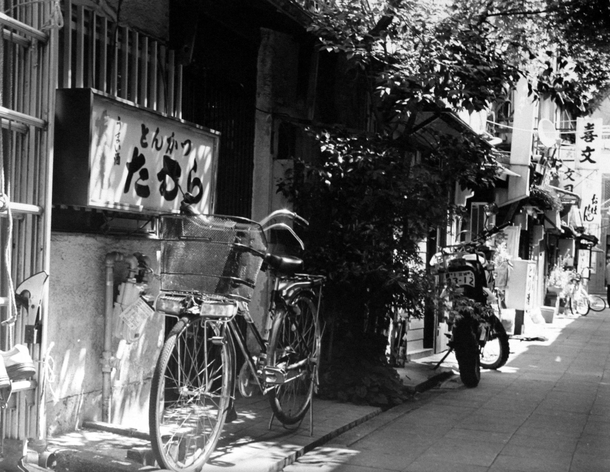 笹崎 正明 写真ギャラリー 笹崎 正明 写真ギャラリー