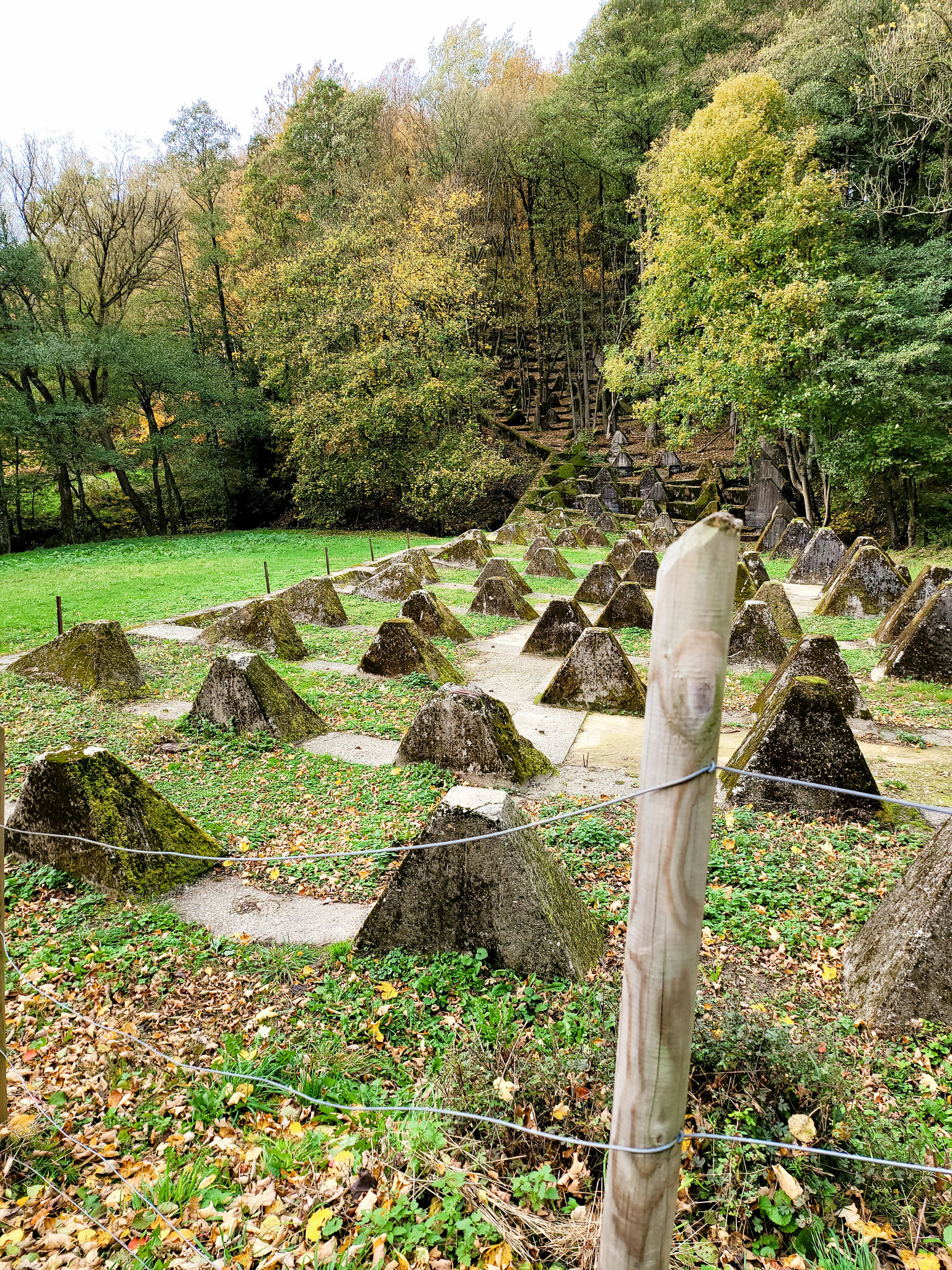 und Höckerlinie bei Roetgen