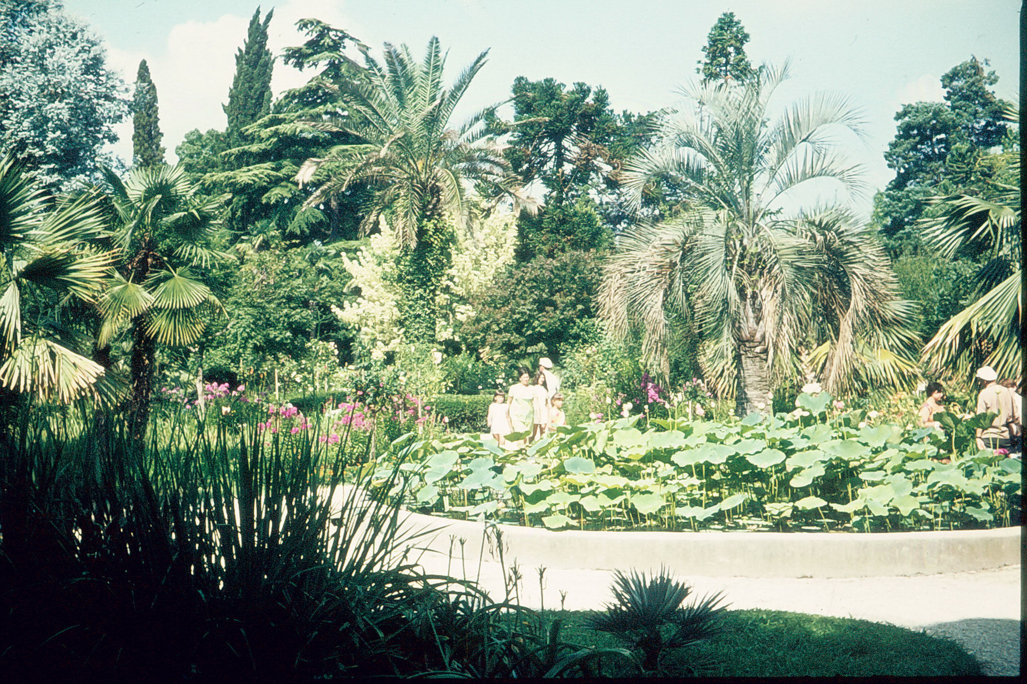 Botanischer Garten Tiflis