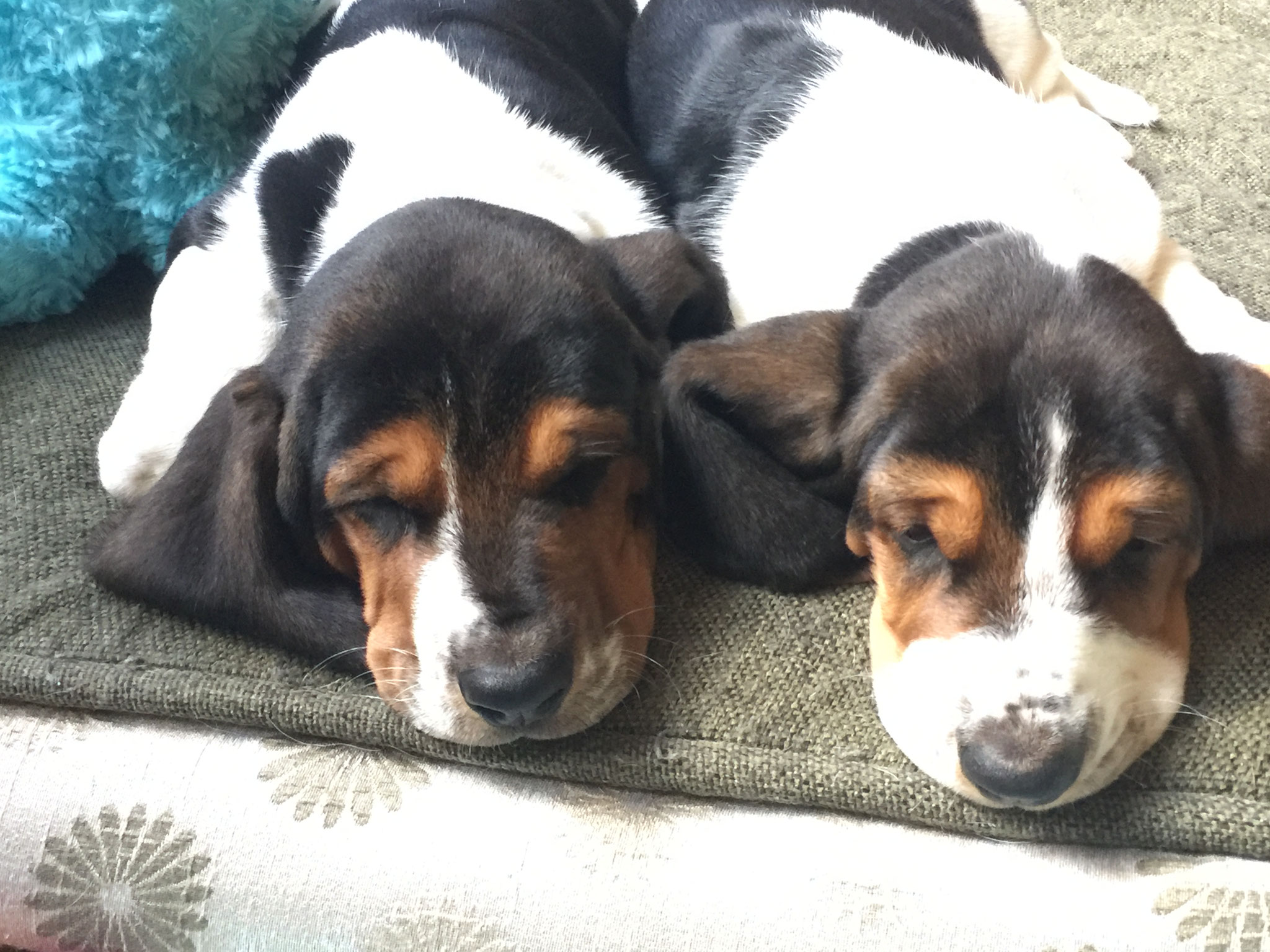 Cutest! It will be fun watching these two grow.