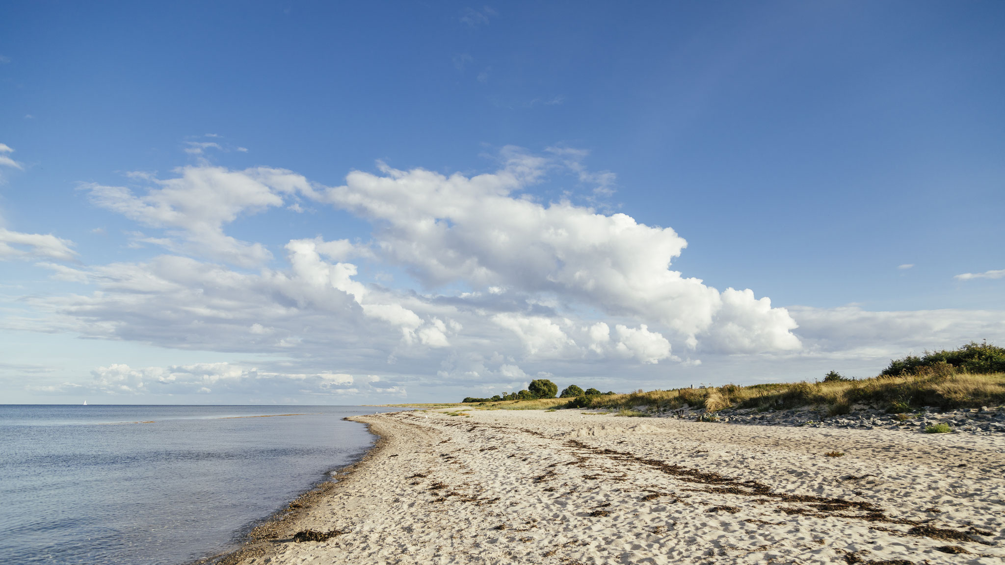 Nahegelegener Ostseestrand