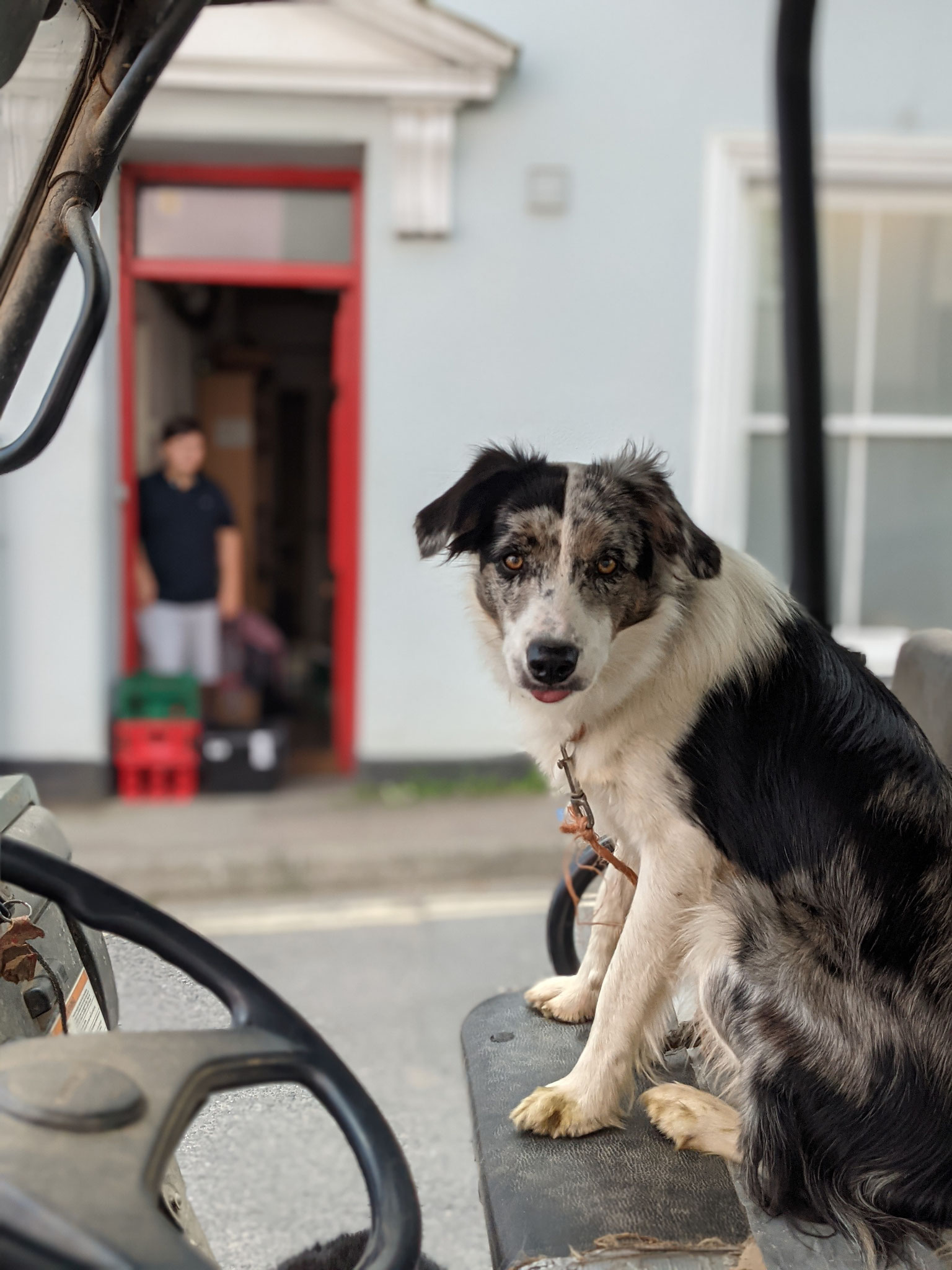 Close-up:   'Riding Shotgun'  by  Dan Bridge taken outside the village shop.