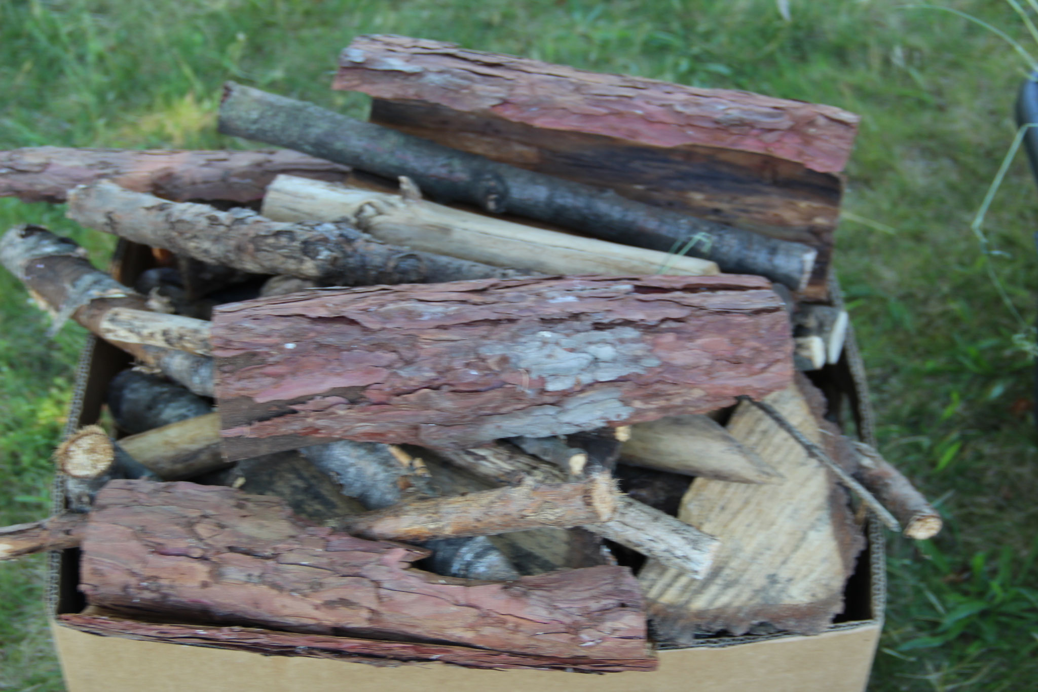 Unser Materialien: Holzstöcke und Rinde