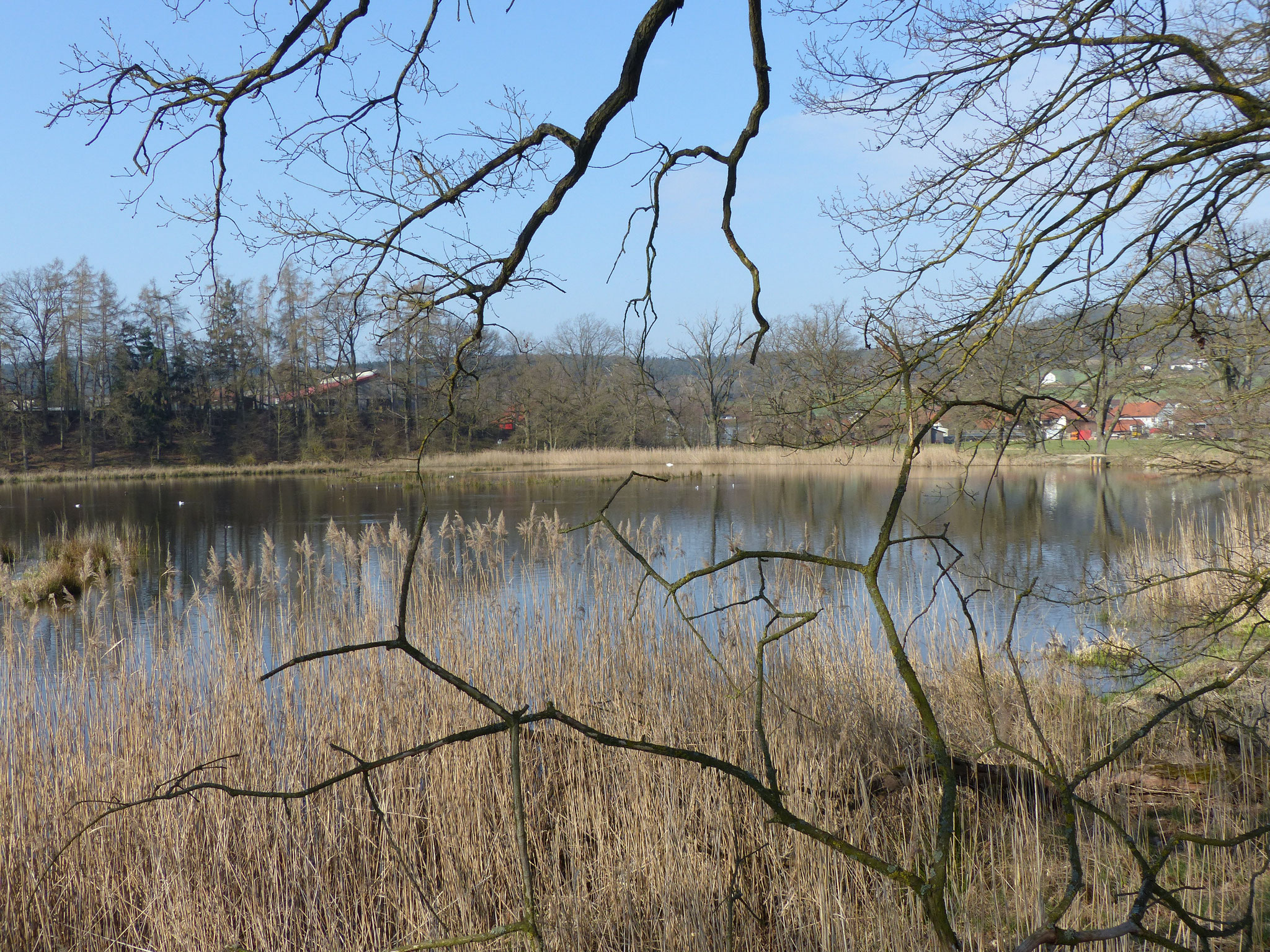 Blick über Angerweiher