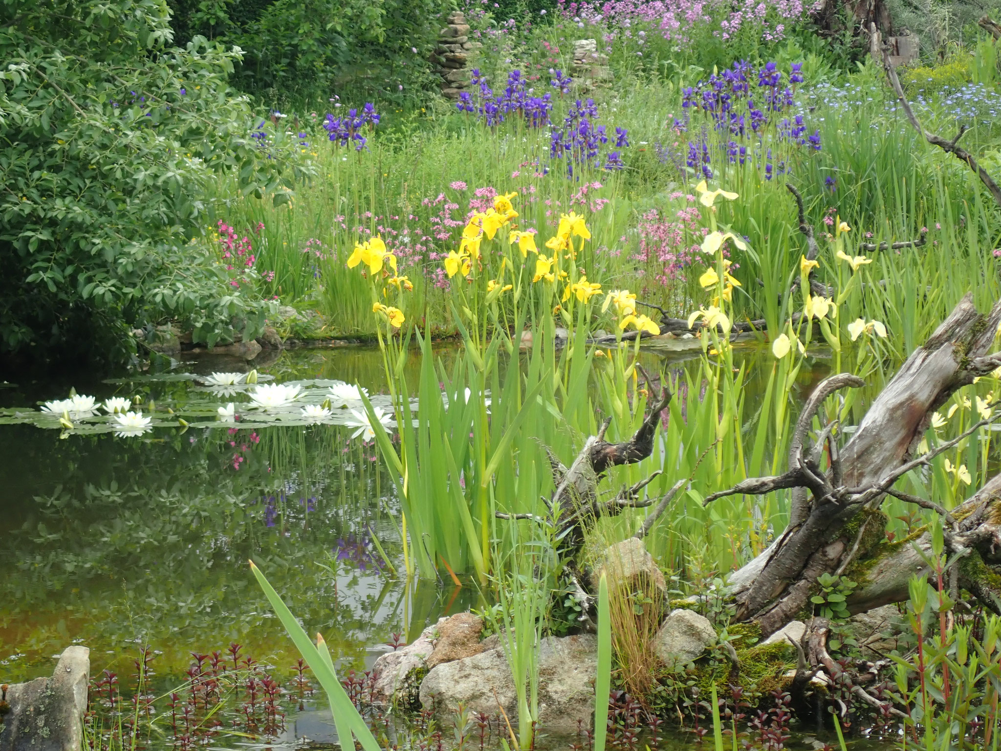 Naturnaher Gartenteich - Birgit Helbig, LBV Bildarchiv