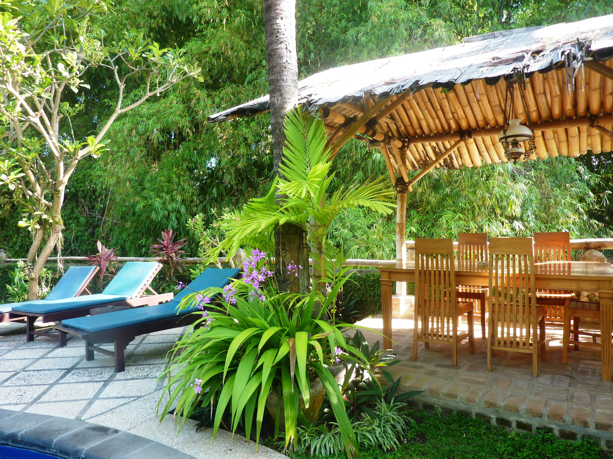 Deck chairs and the bamboo hut