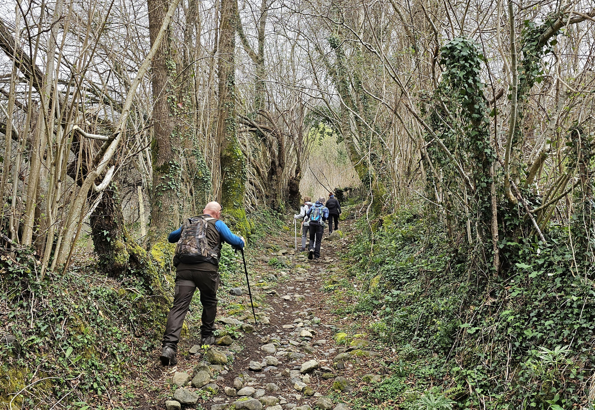Dans les sous-bois de Castelloubon