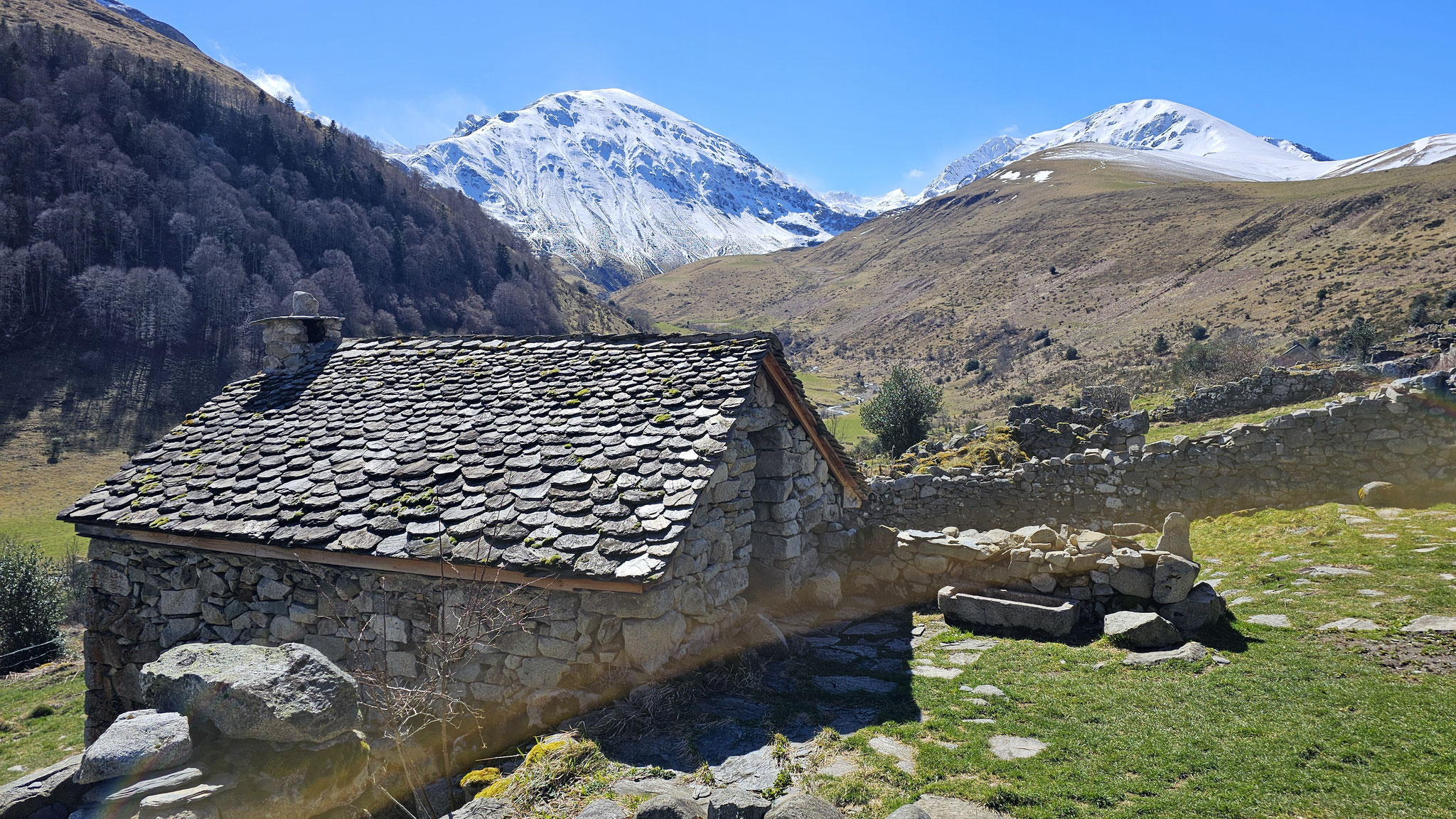 Magnifique courtaou des Esclozes