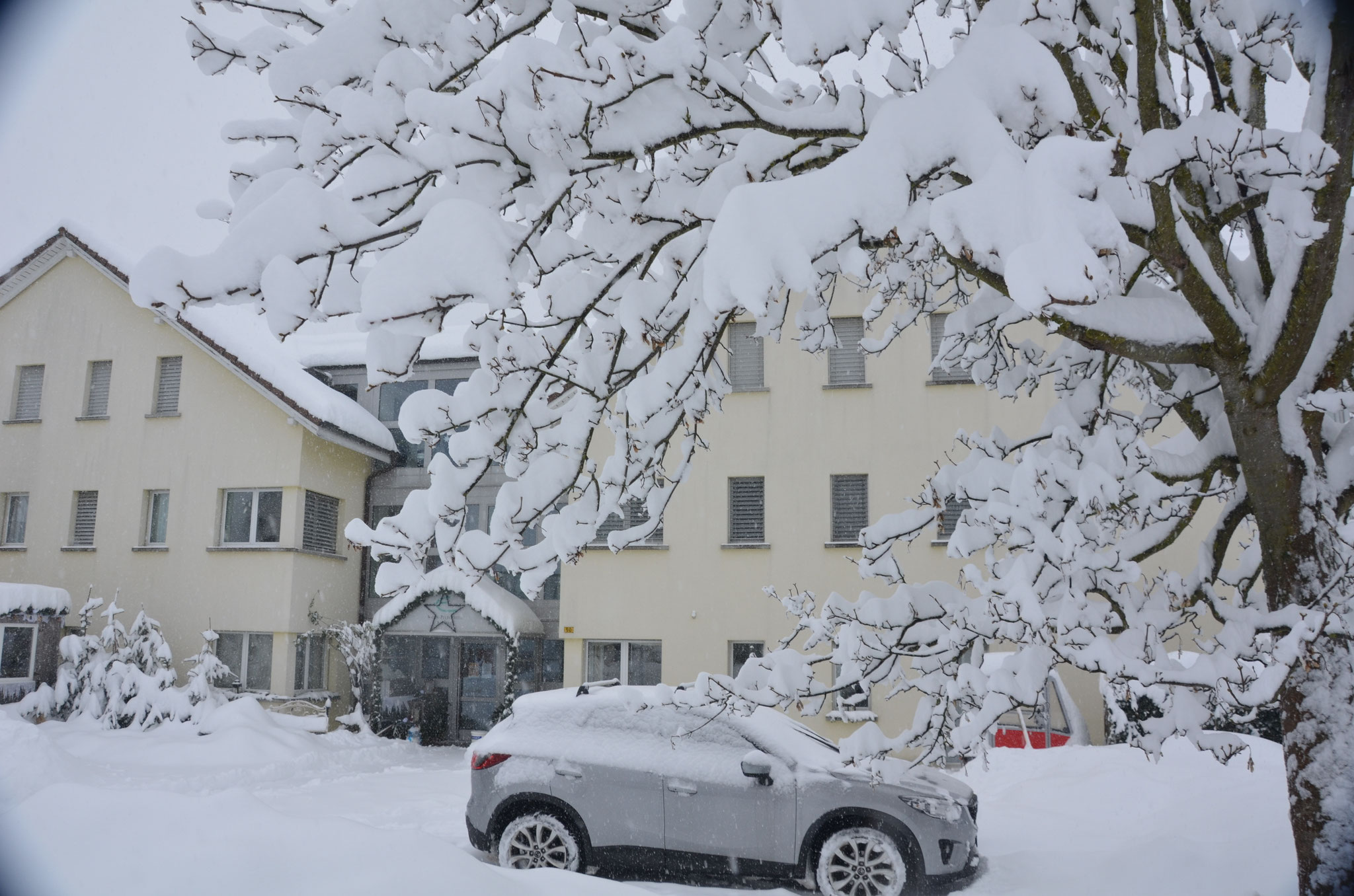 Winterstimmung, meistens nur kurz