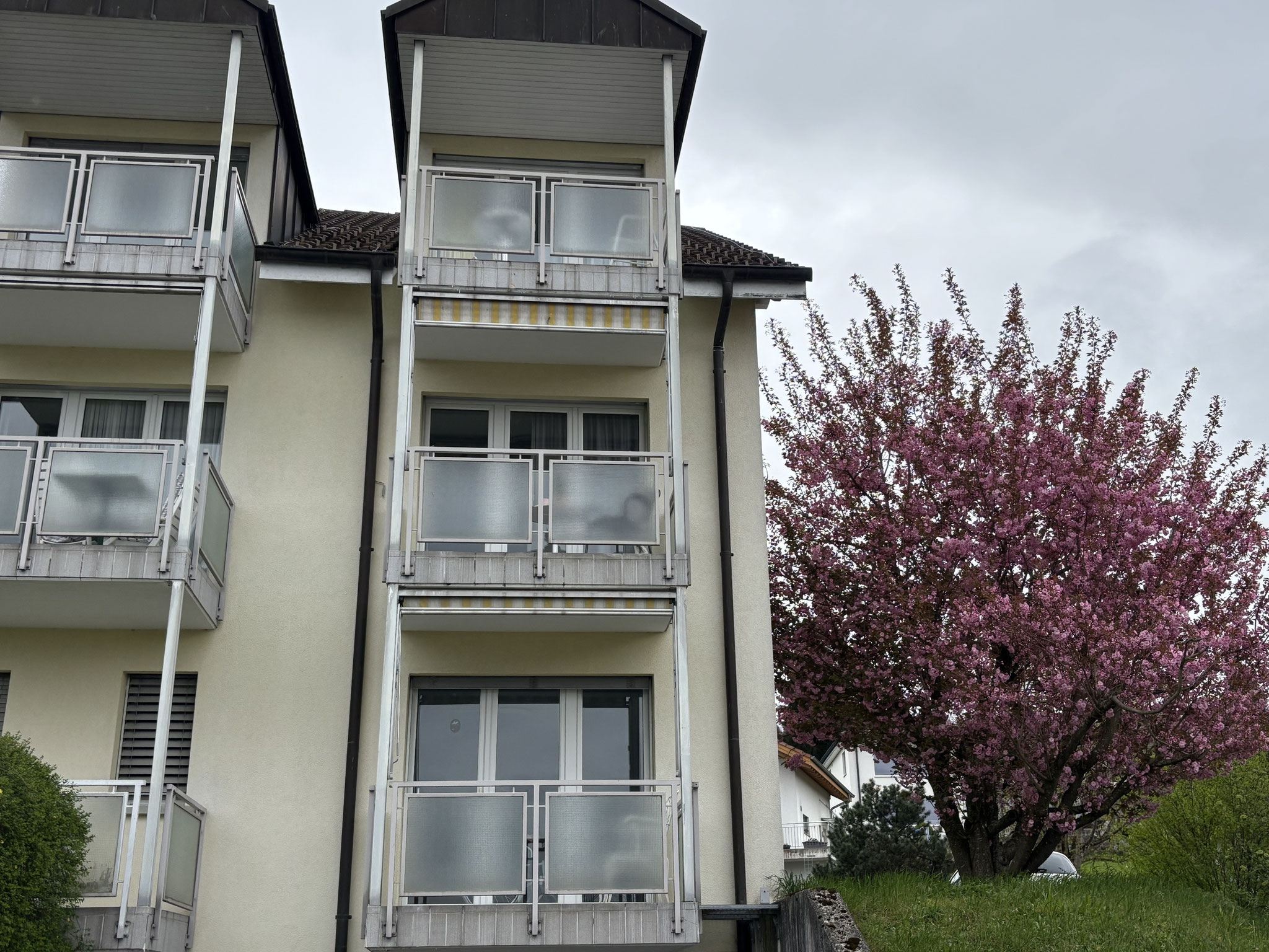 Frühling
