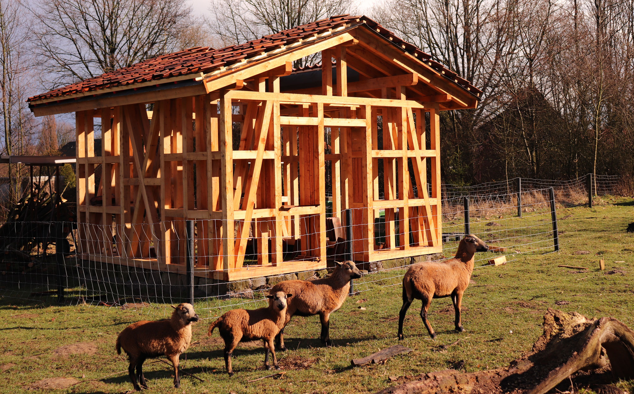 Fachwerk-Konstruktion des Insekten- und Bienenhauses