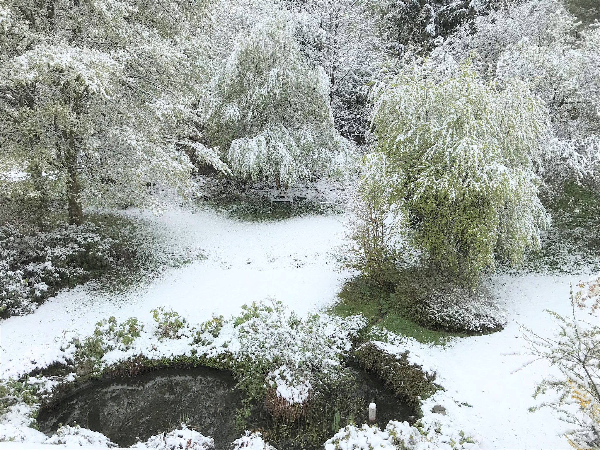 Garten im Winter