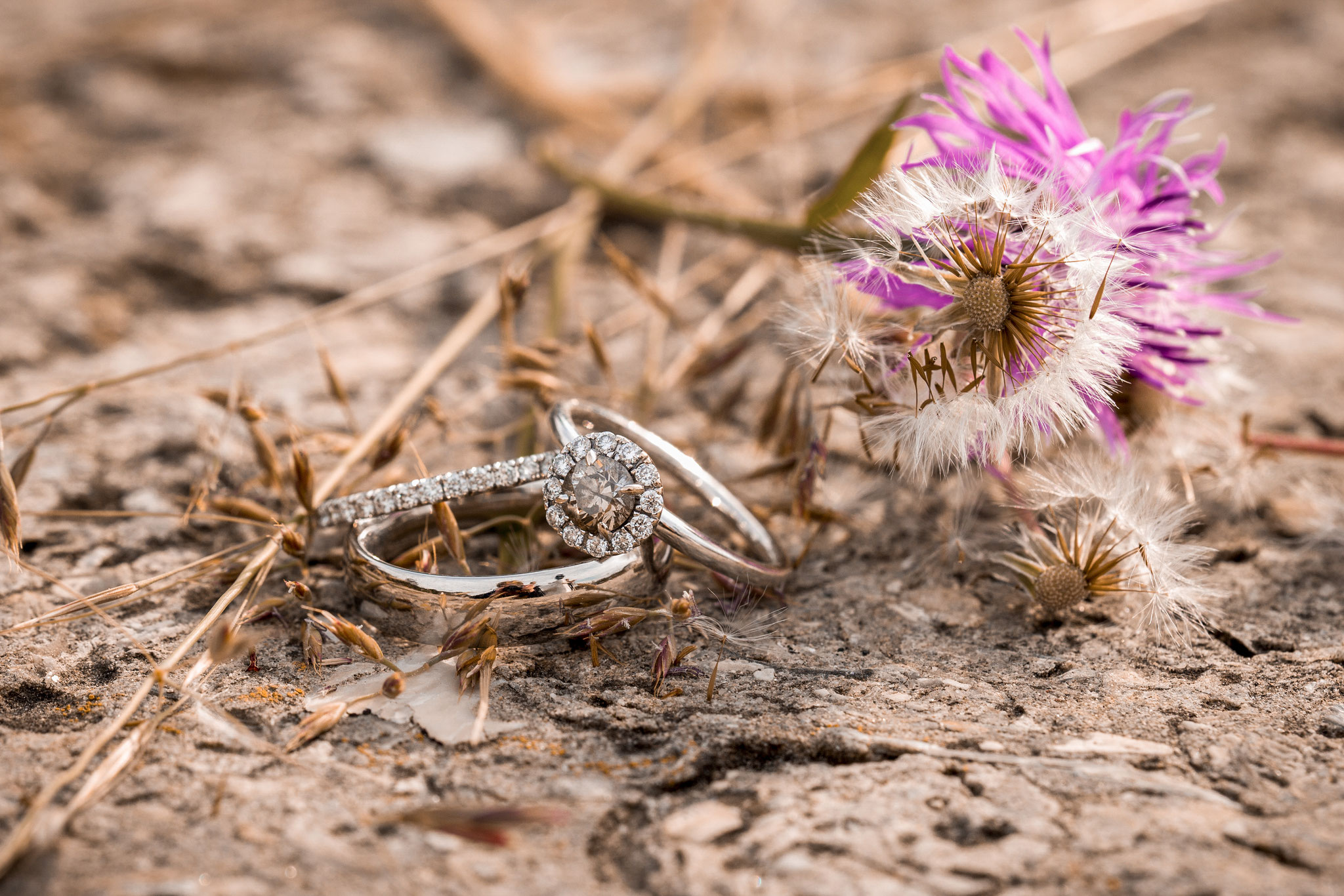 Hochzeitsfotografin Schaffhausen