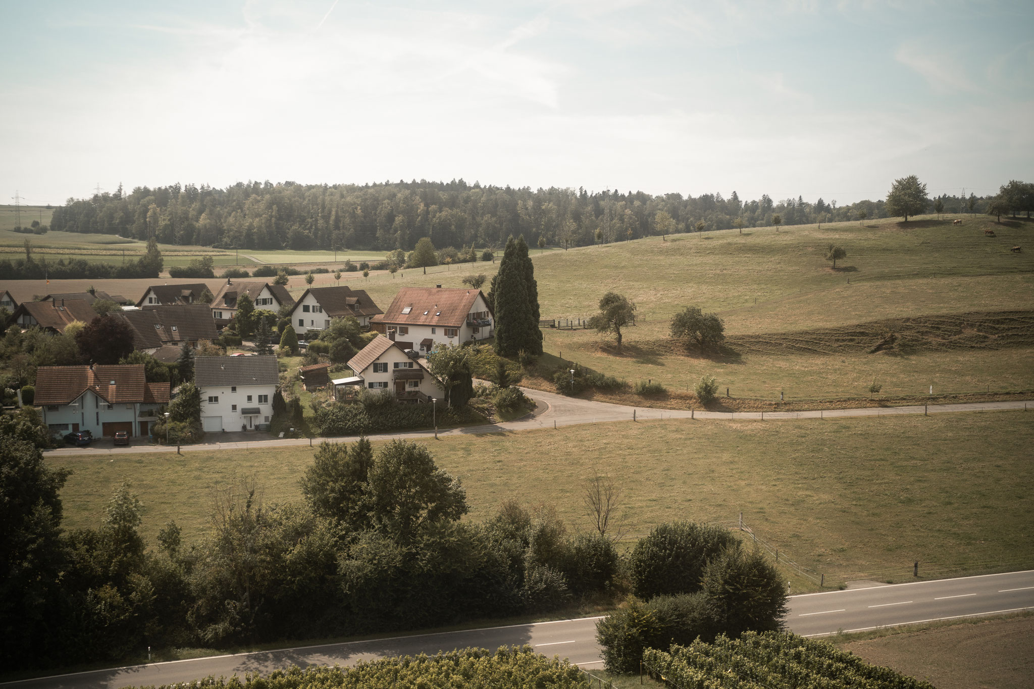 Hochzeitsfotografin Zürcher Weinland