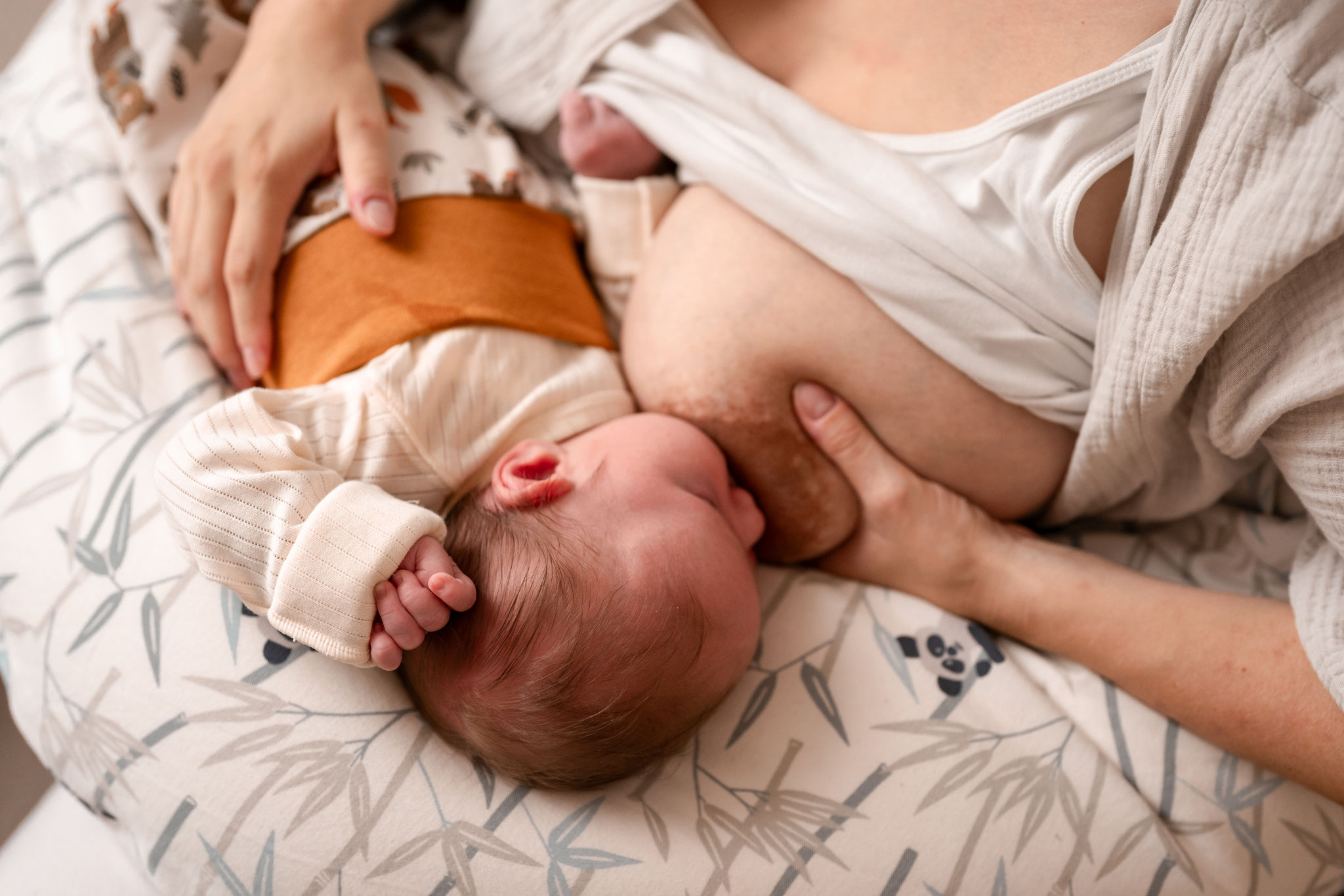 Baby Fotoshooting Zuhause